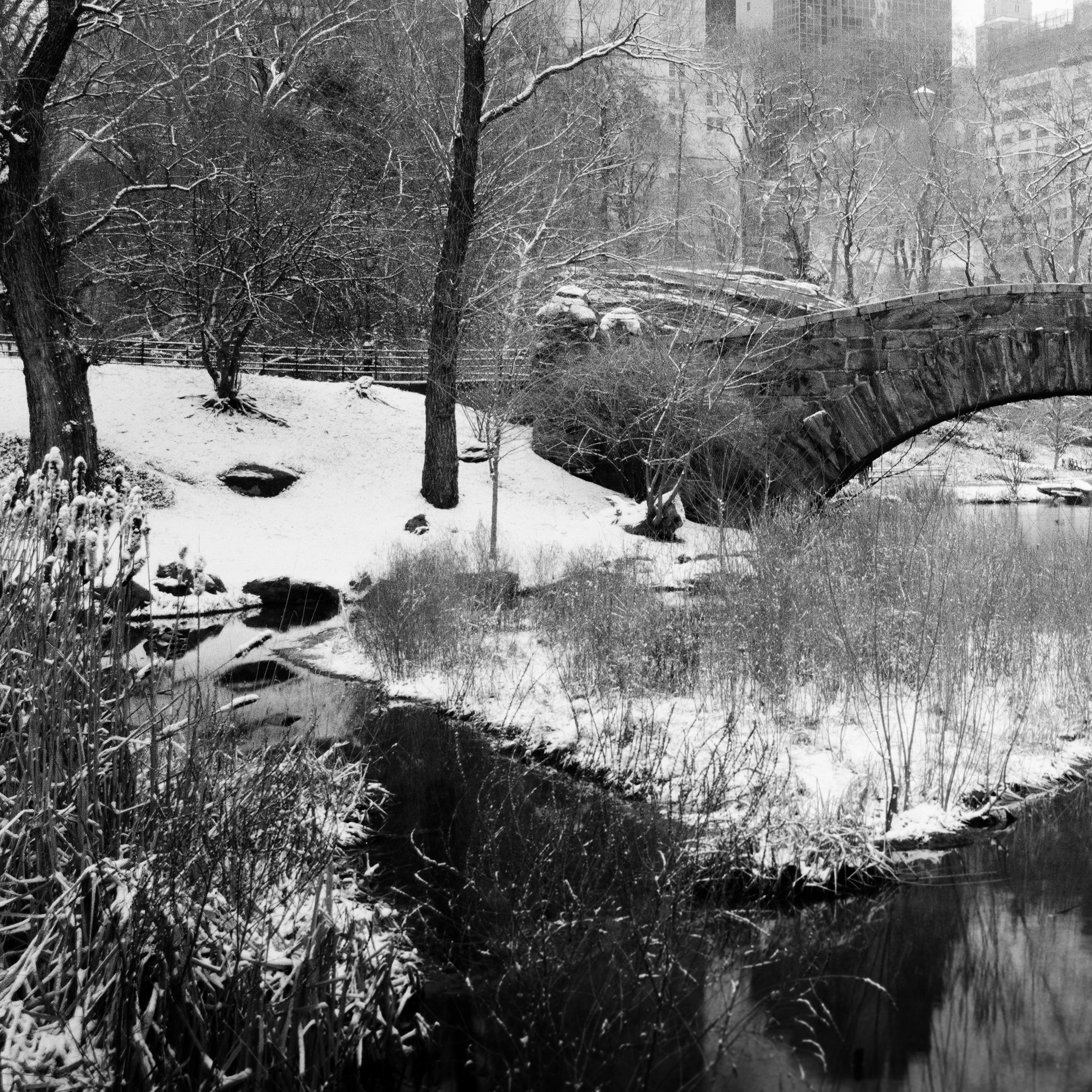 Central Park enneigé, New York, USA, photographie noir et blanc, paysage en vente 5