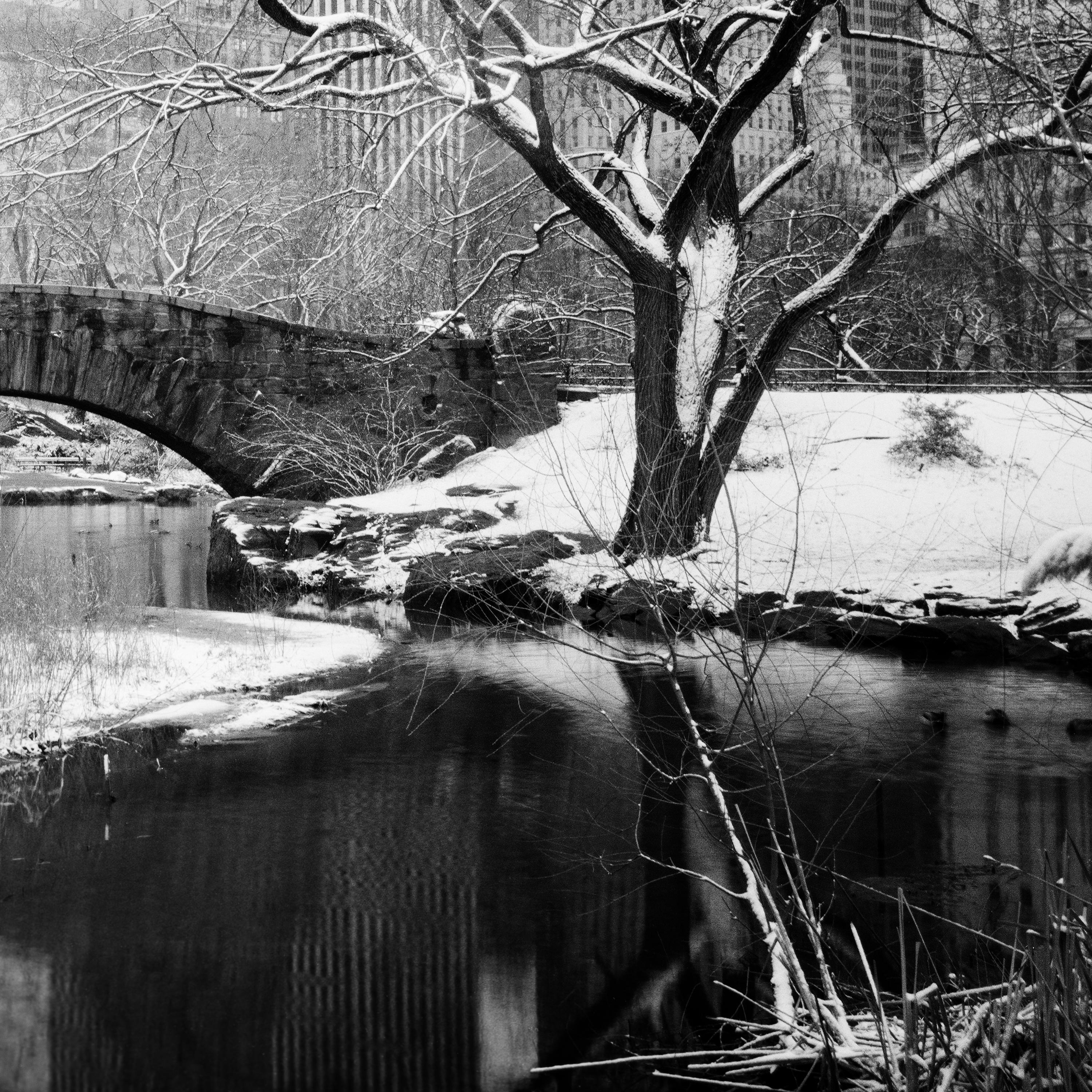 Central Park enneigé, New York, USA, photographie noir et blanc, paysage en vente 6