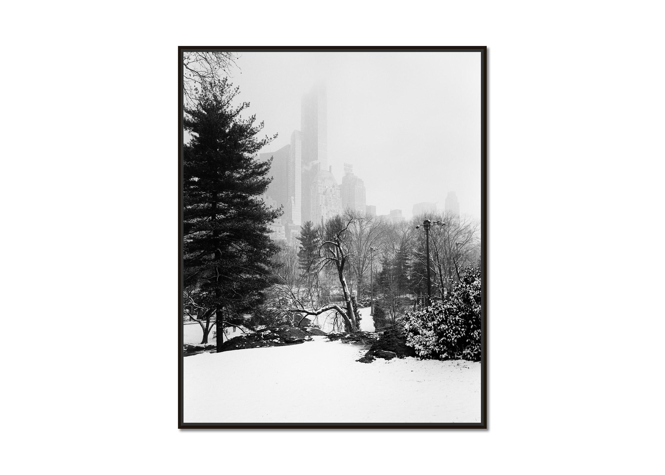 Snow Covered Central Park, New York City, black and white photography, cityscape - Photograph by Gerald Berghammer