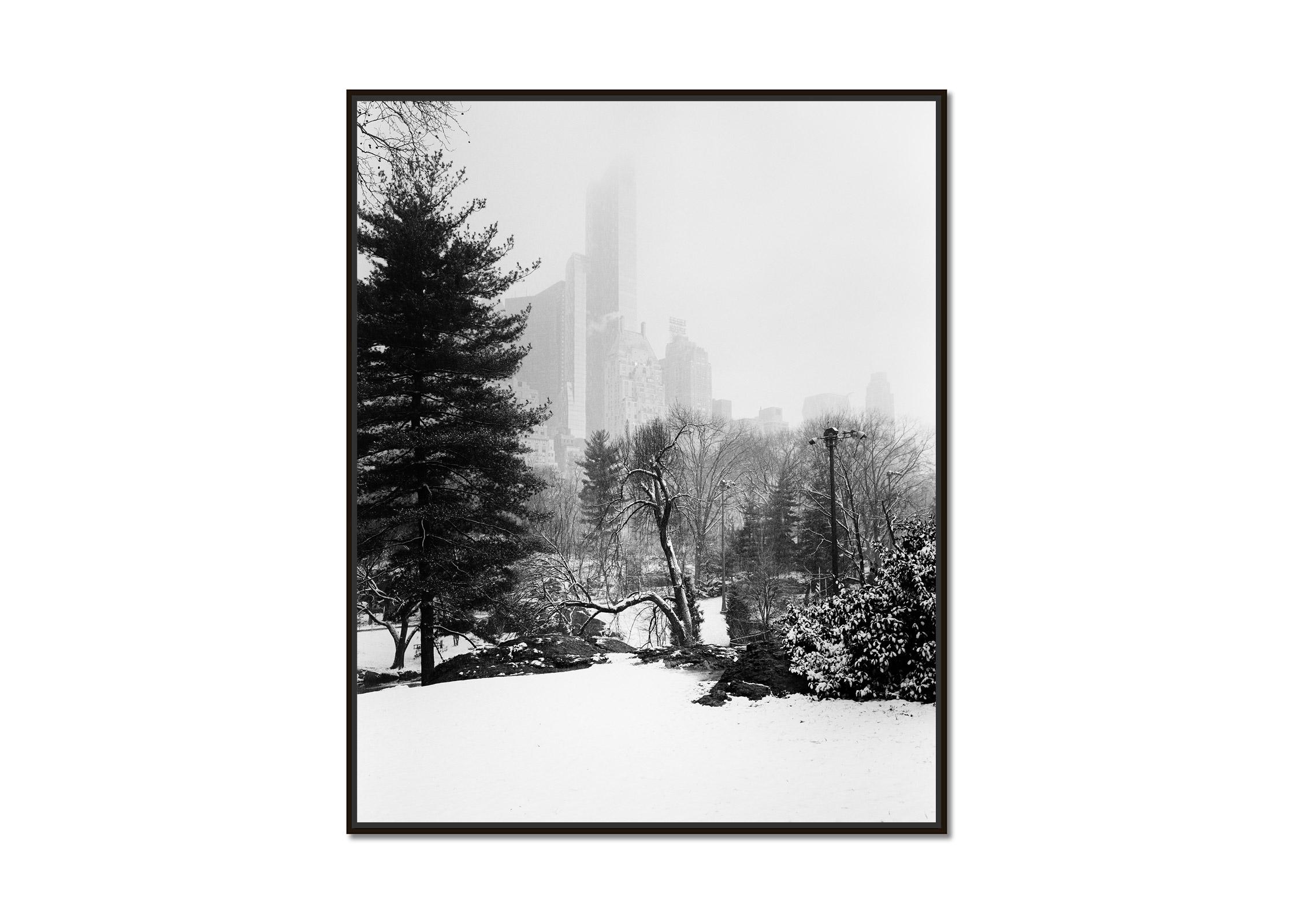 Schneebedeckter Central Park, New York City, Schwarz-Weiß-Foto, limitierte Auflage – Photograph von Gerald Berghammer
