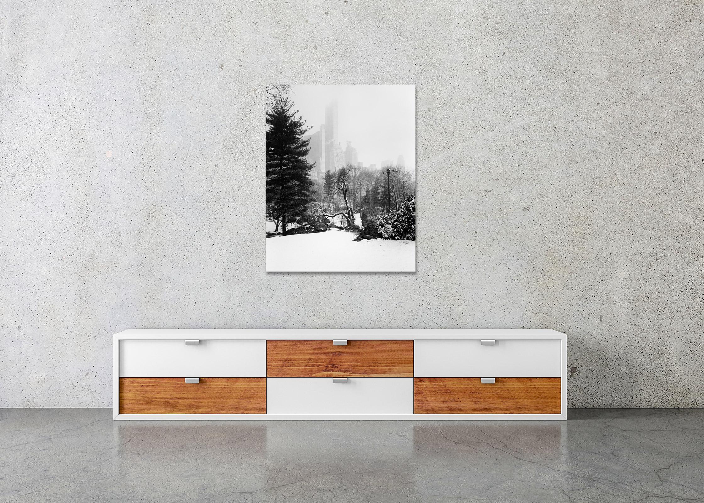 Schneebedeckter Central Park, New York City, Schwarz-Weiß-Foto, limitierte Auflage im Angebot 2