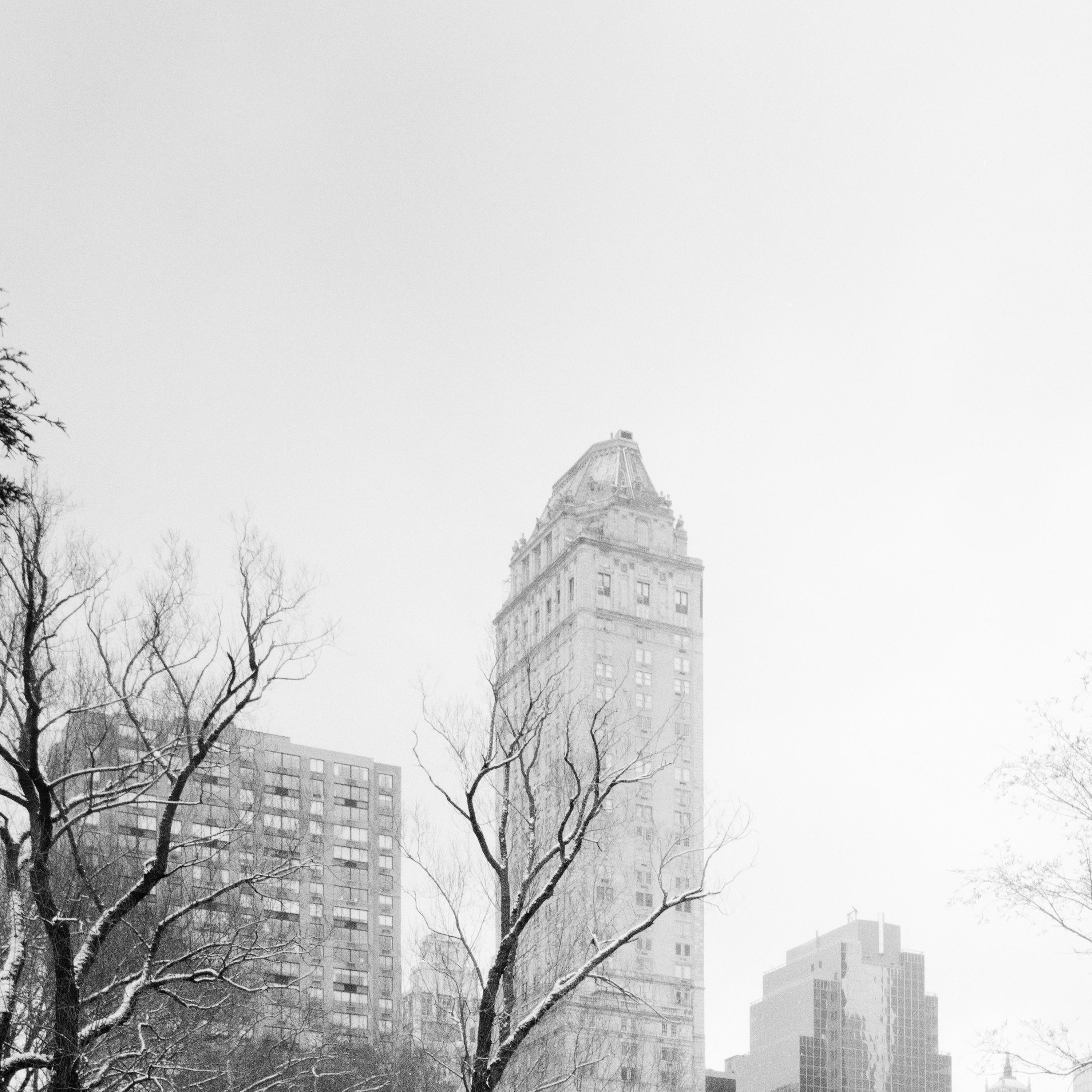 Central Park enneigé, New York, USA, photographie noir et blanc, paysage en vente 3