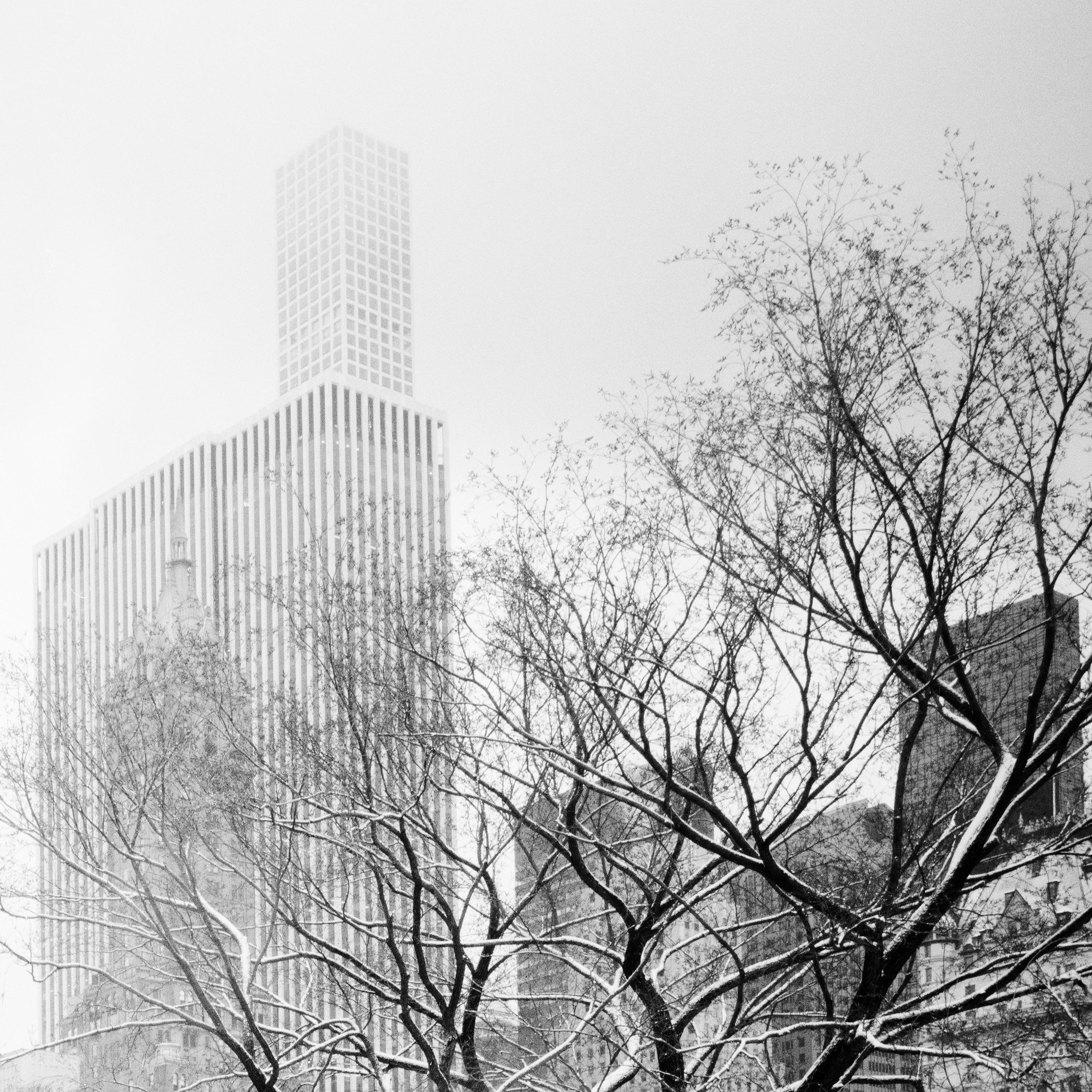 Central Park enneigé, New York, USA, photographie noir et blanc, paysage en vente 4
