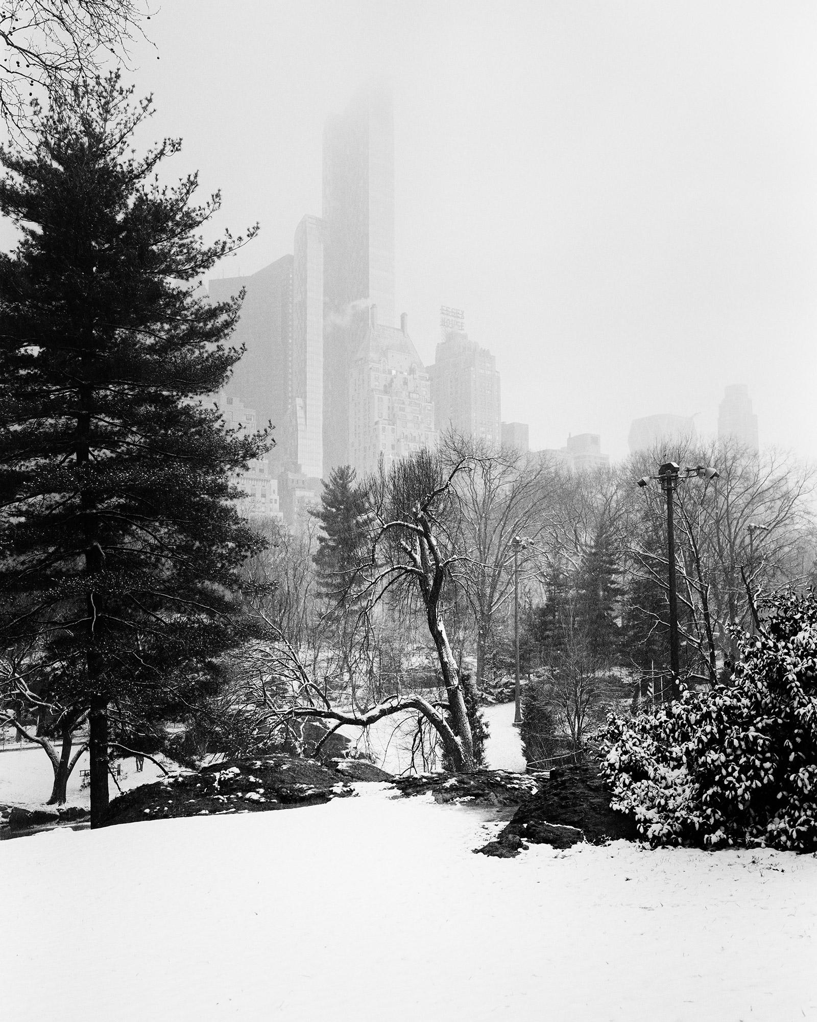 Central Park recouvert de neige, New York City, photographie noir et blanc, paysage urbain