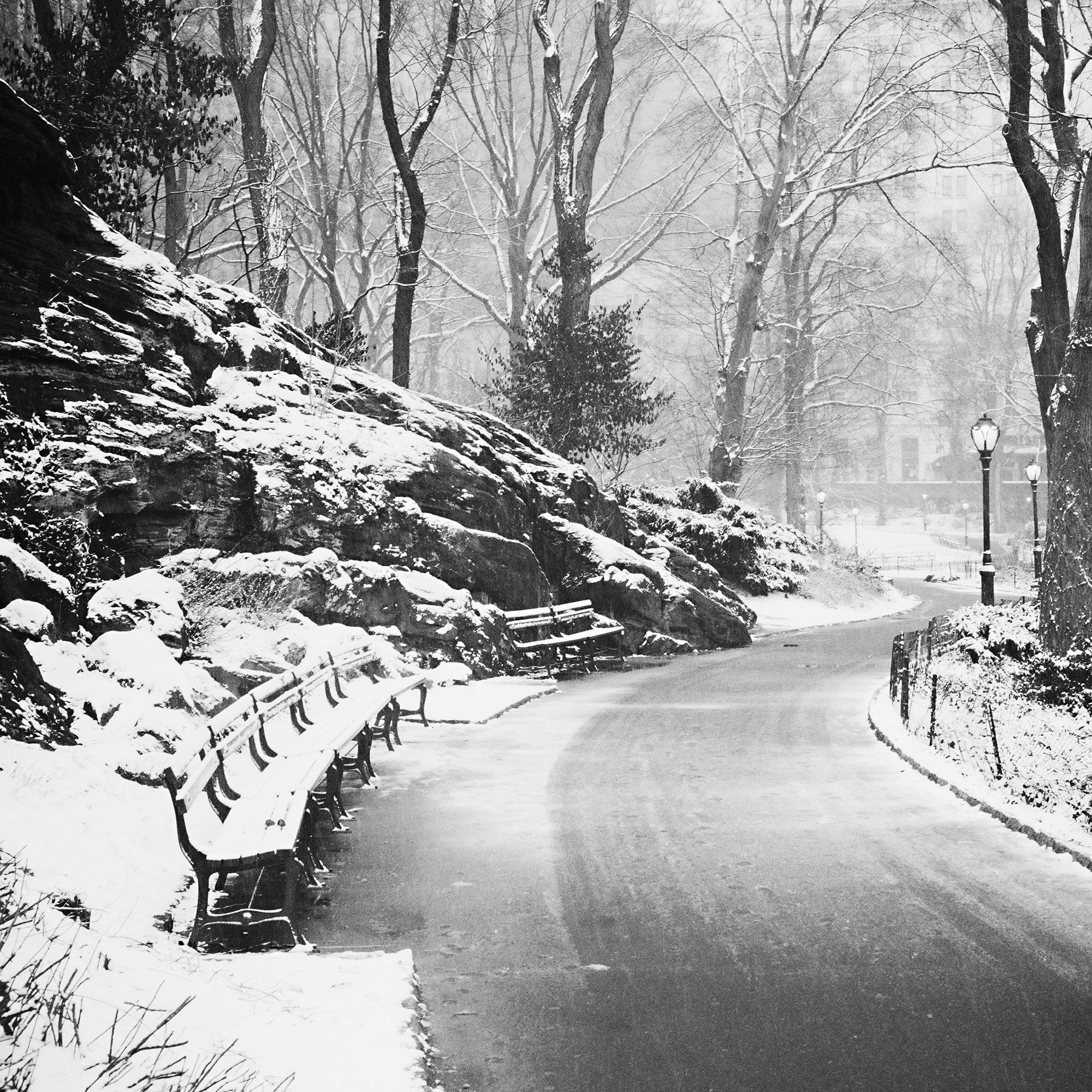 Snow covered Central Park New York USA limited For Sale 4