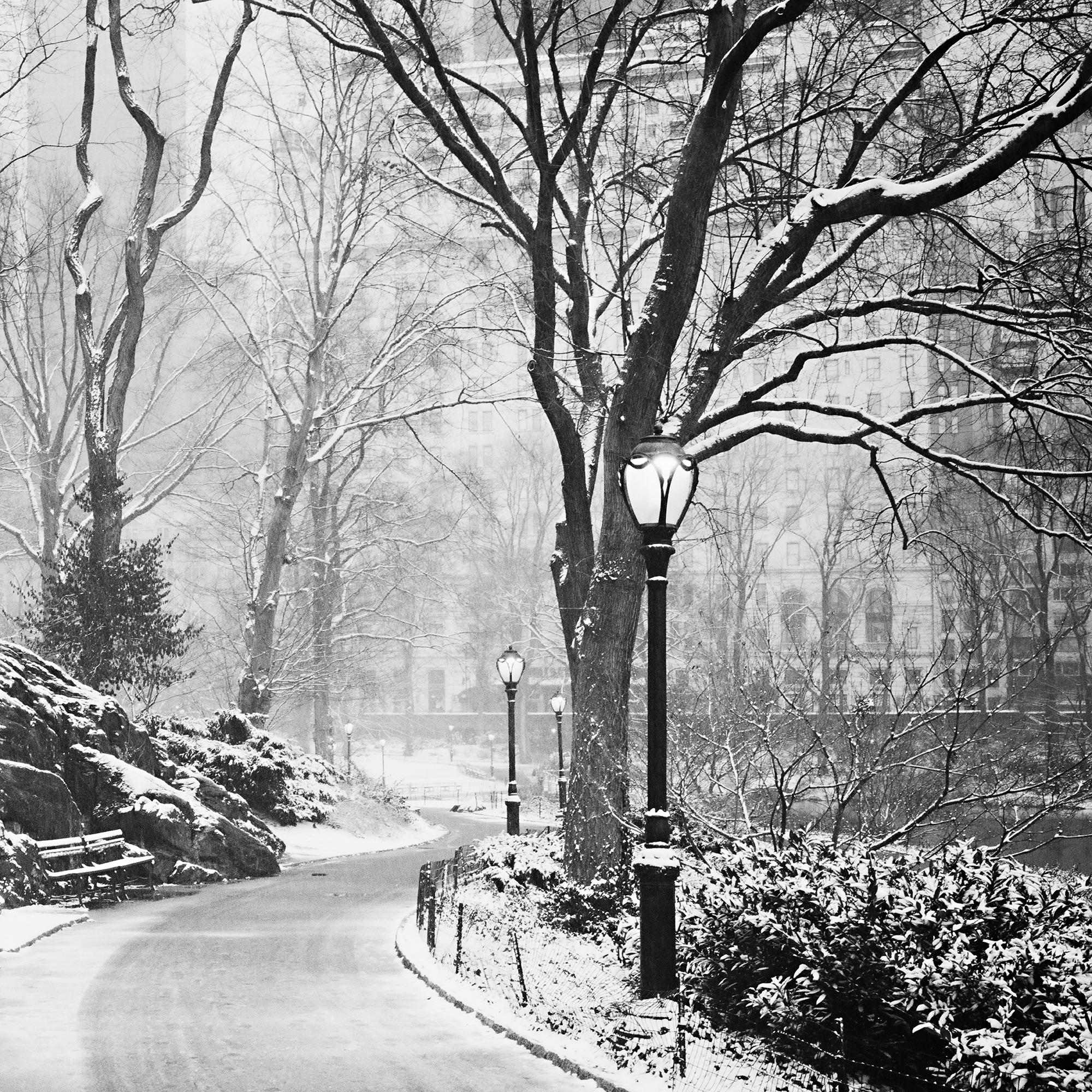 Snow covered Central Park New York USA limited For Sale 2