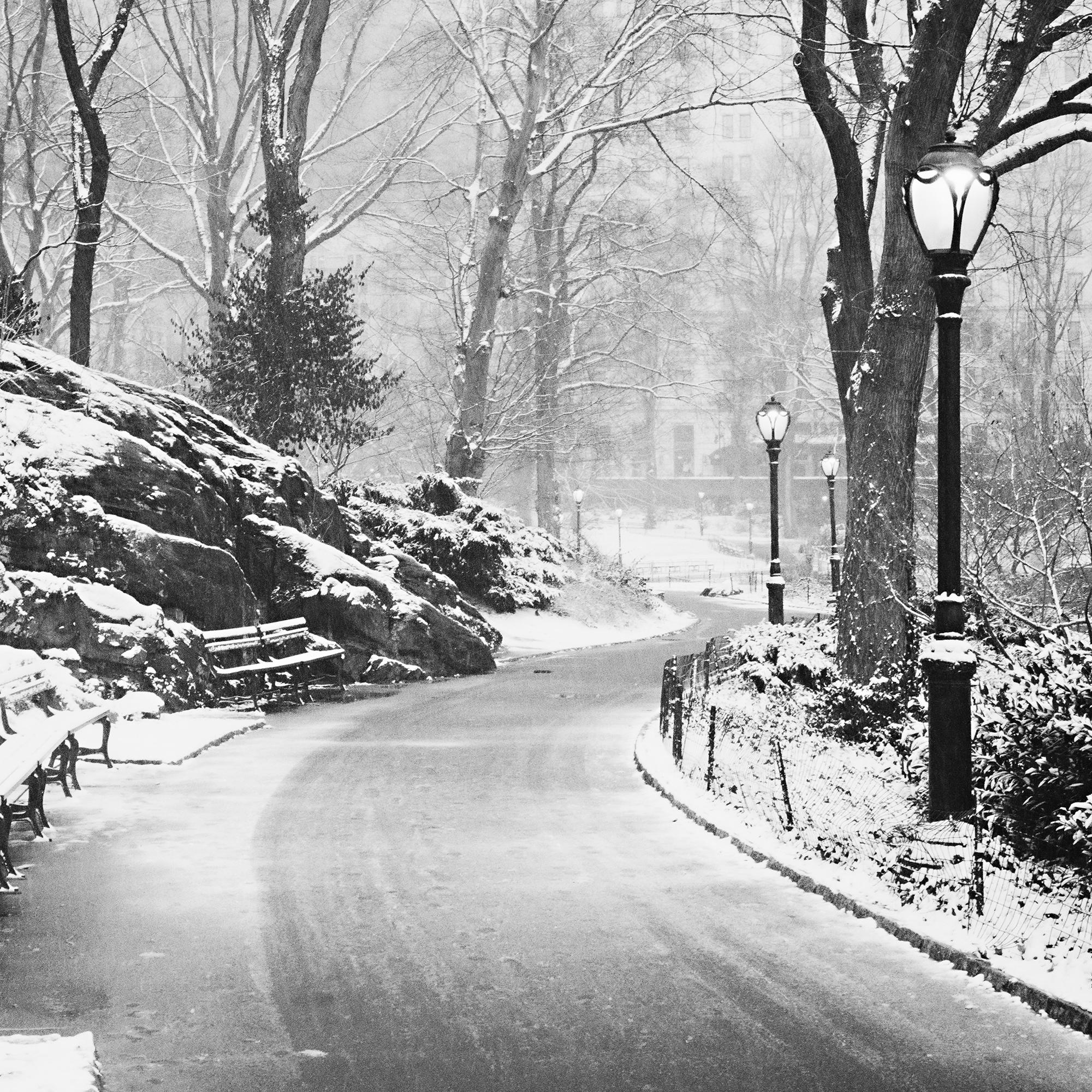Snow covered Central Park New York USA limited For Sale 3
