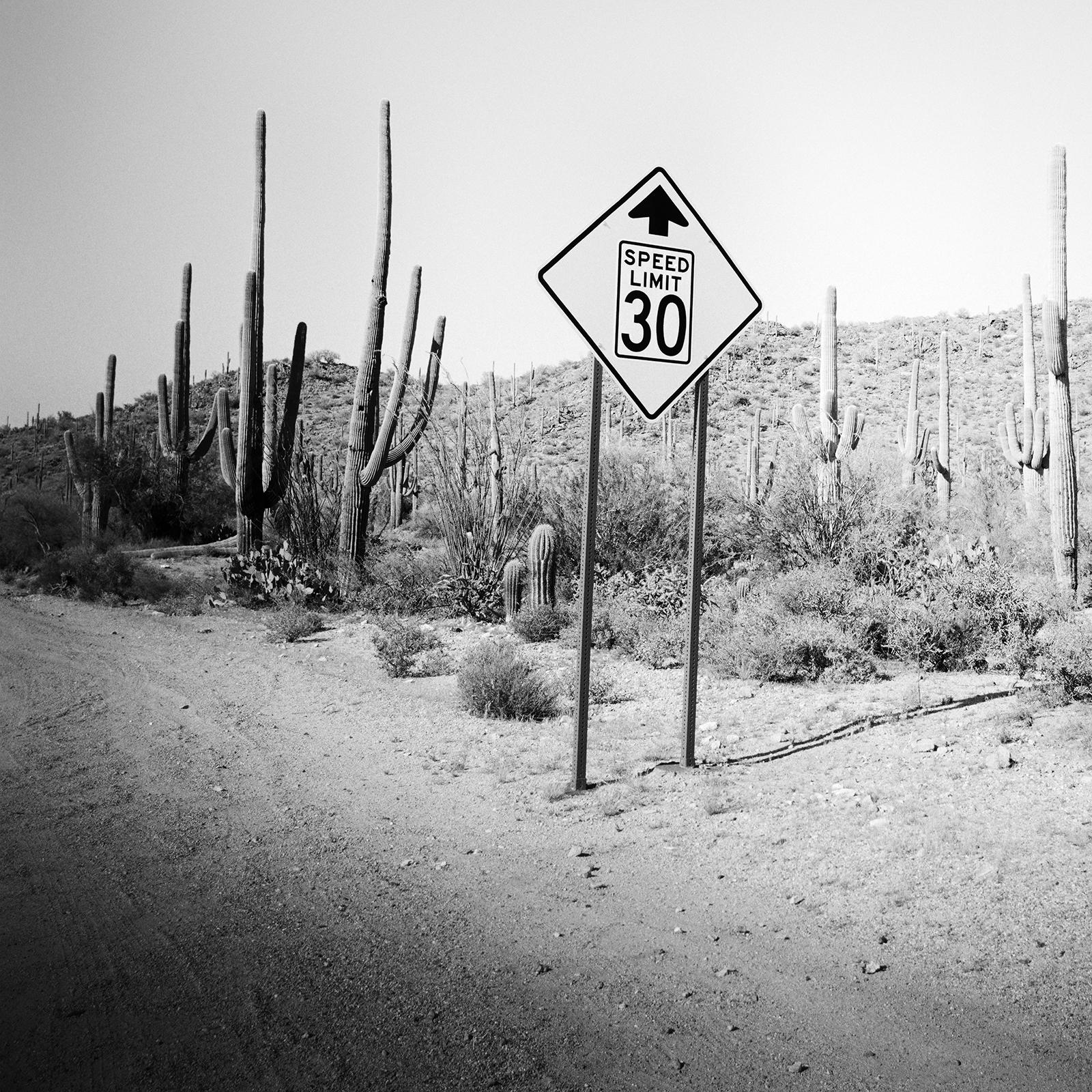 Speed Limit, Desert, Cactus, Arizona, black and white art landscape photography For Sale 3