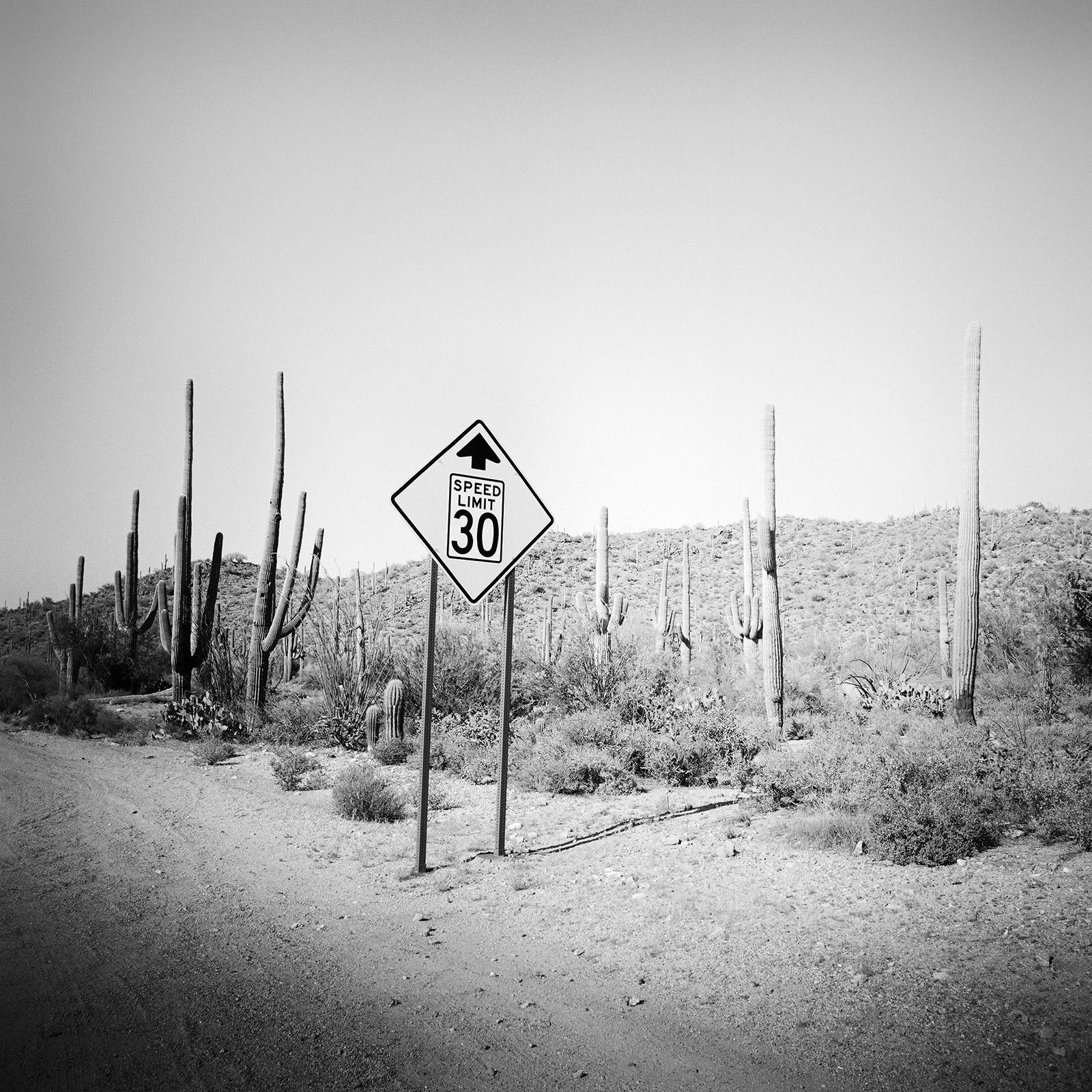 Black and White Photograph Gerald Berghammer - Limite de vitesse, désert, cactus, Arizona, photographie de paysage artistique en noir et blanc