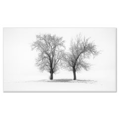 Still Winter Morning – Austria, Minimalist Black-and-White Fine Art Photograph
