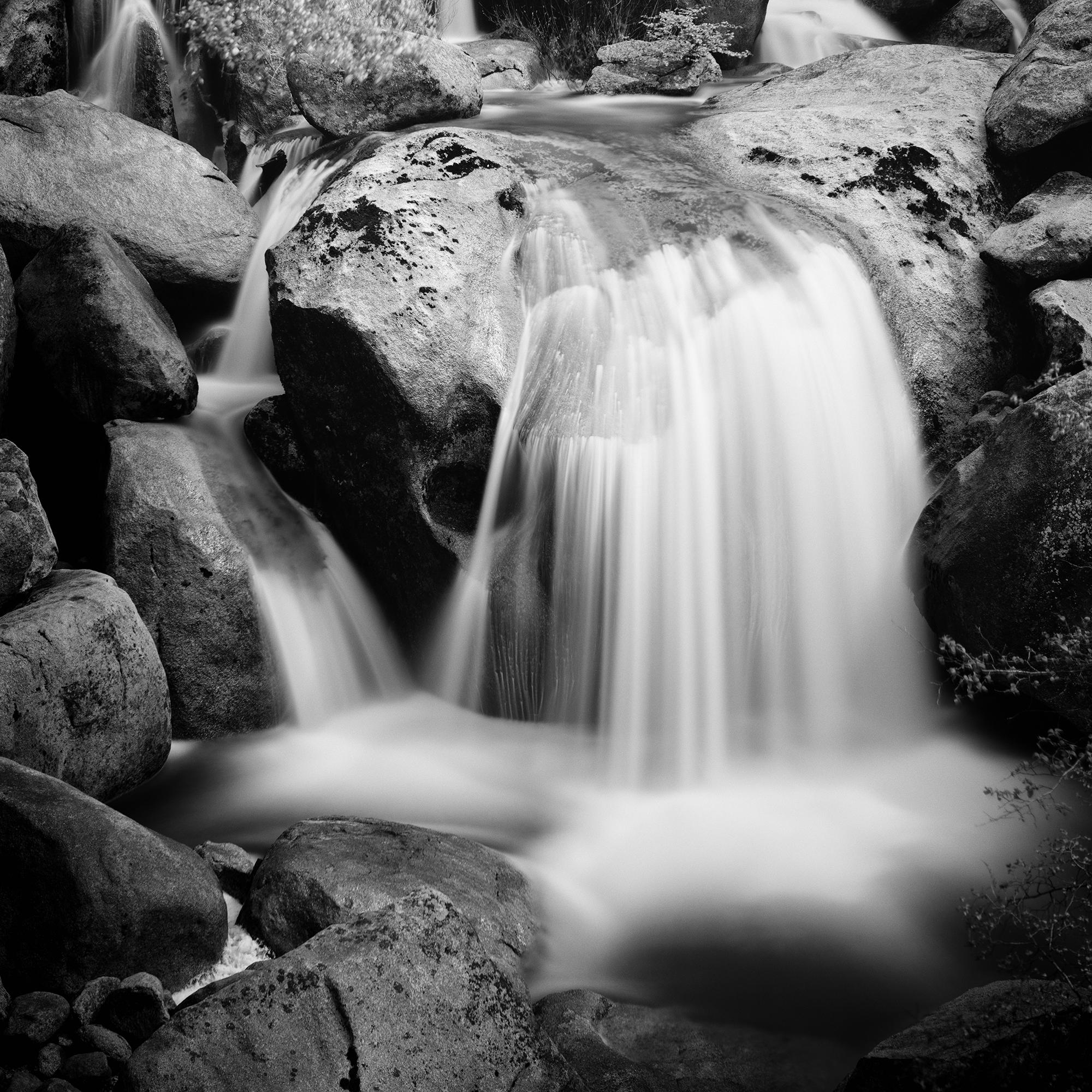 Stony Mountain Stream, Californie, États-Unis, photographie en noir et blanc, paysage en vente 5