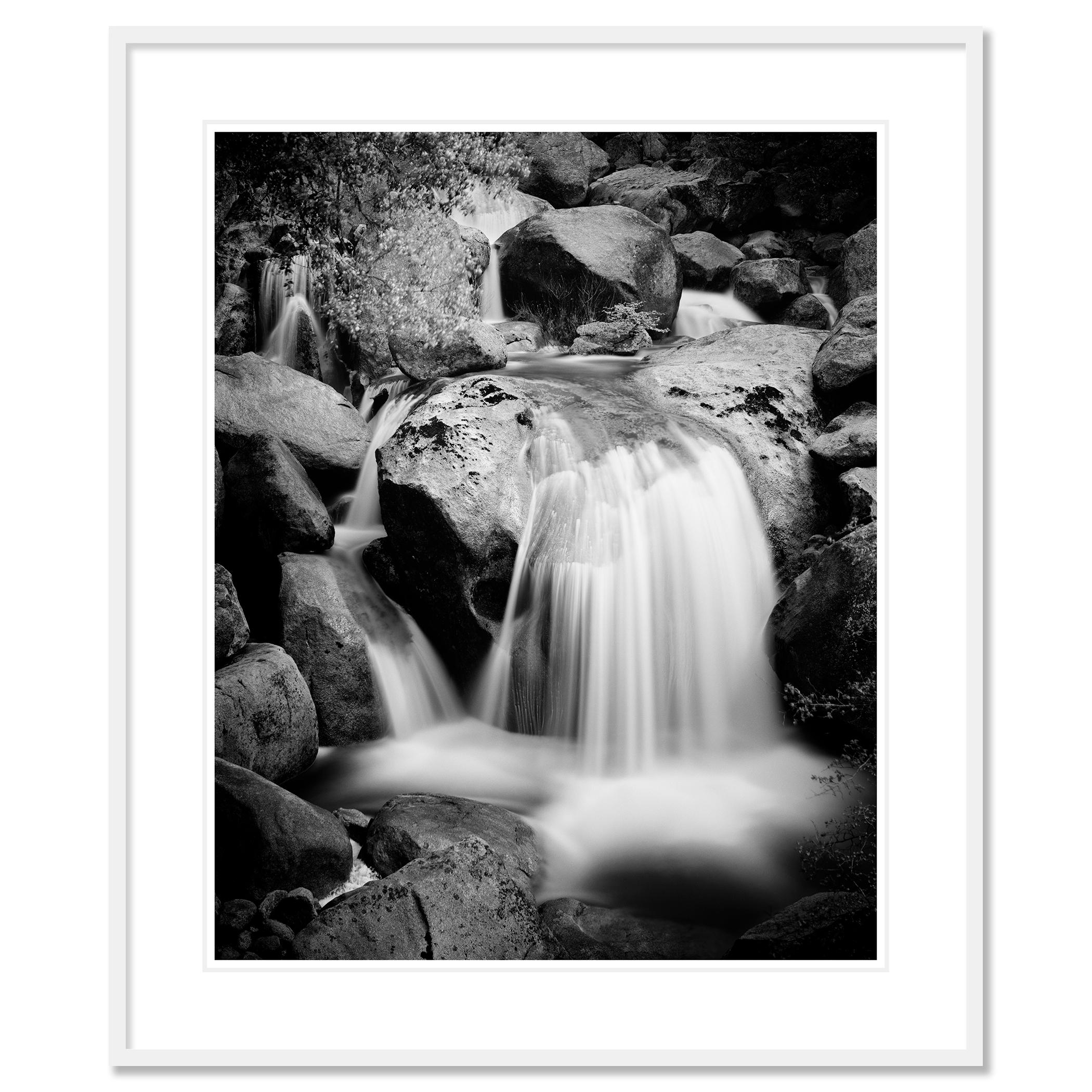 Stony Mountain Stream, Californie, États-Unis, photographie en noir et blanc, paysage en vente 1