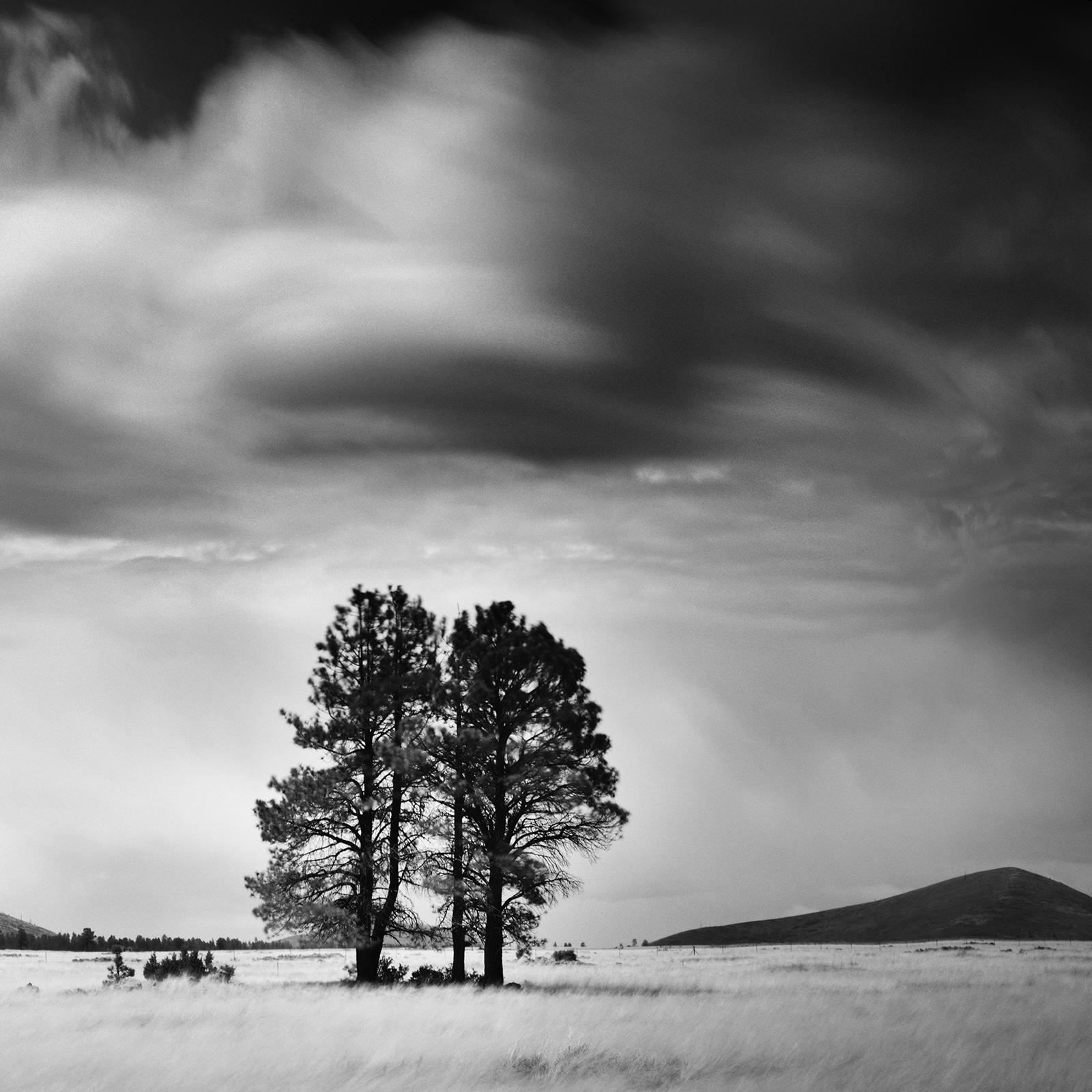 Storm in golden Field, giant clouds, USA, black and white photography, landscape For Sale 5
