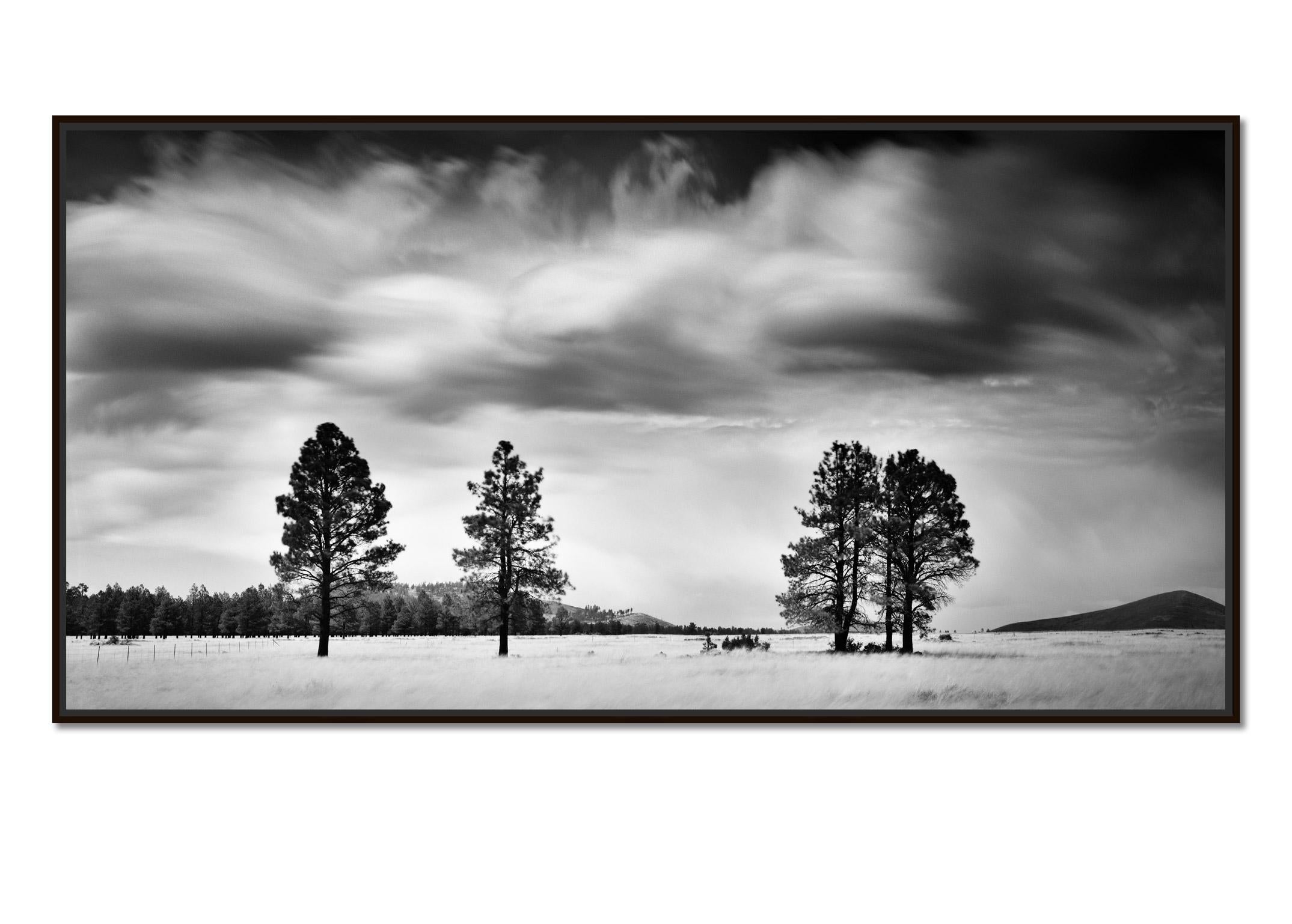 Storm in golden Field, giant clouds, USA, black and white photography, landscape - Photograph by Gerald Berghammer