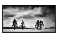 Tormenta en Campo dorado, nubes gigantes, EE.UU., fotografía en blanco y negro, paisaje
