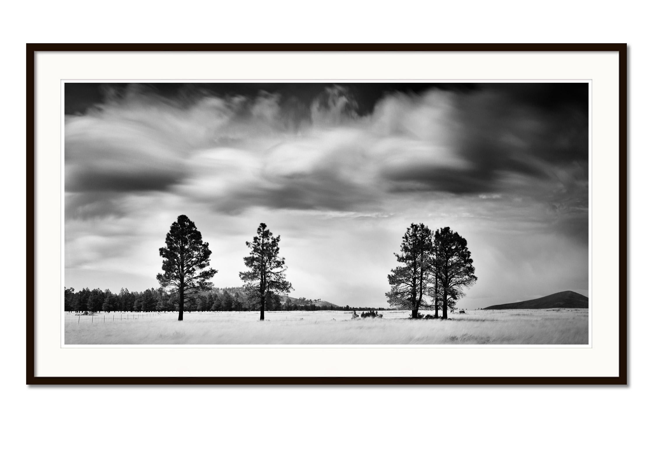 Storm in golden Field, giant clouds, USA, black and white photography, landscape - Gray Landscape Photograph by Gerald Berghammer