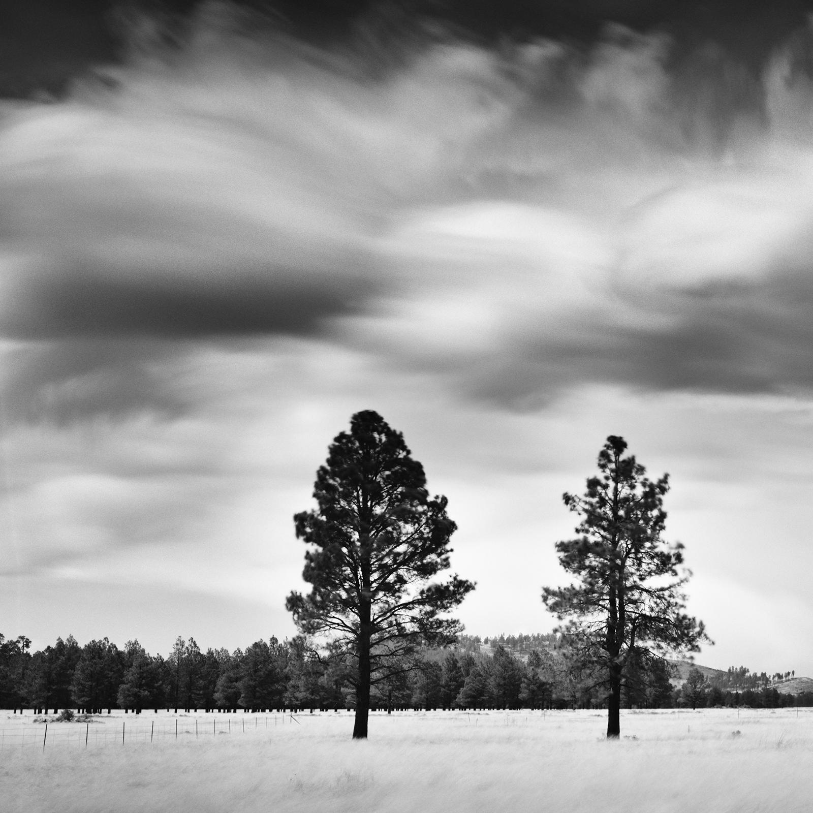 Storm in golden Field, giant clouds, USA, black and white photography, landscape For Sale 3
