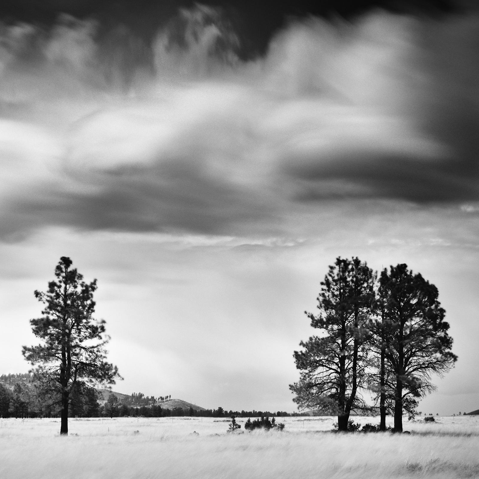 Storm in golden Field, giant clouds, USA, black and white photography, landscape For Sale 4