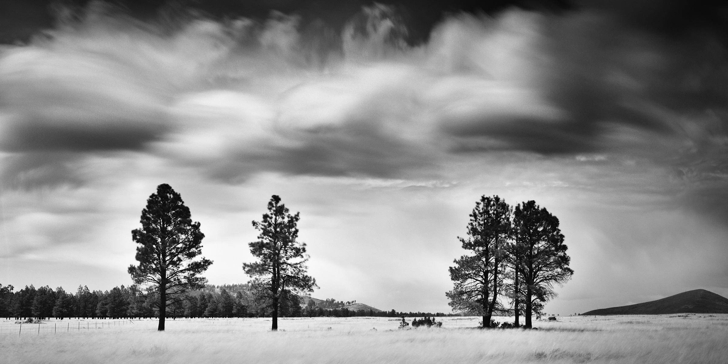 Gerald Berghammer Landscape Photograph - Storm in golden Field, giant clouds, USA, black and white photography, landscape