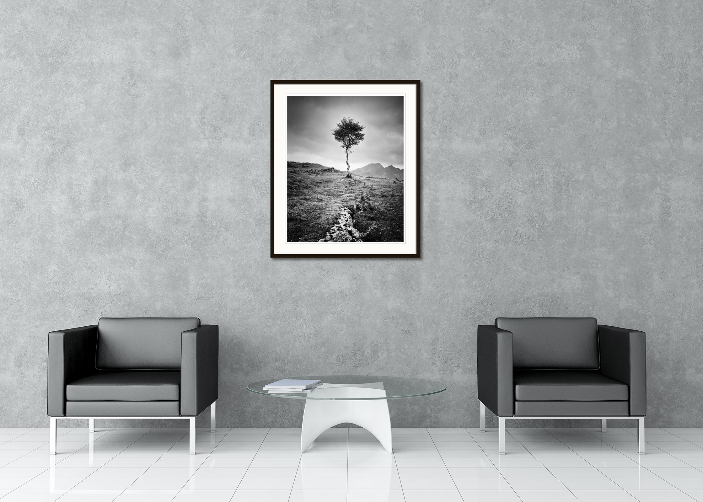 Black and white fine art landscape photography. Lone birch tree in the mountains on the isle of sky in Scotland. Archival pigment ink print, edition of 7. Signed, titled, dated and numbered by artist. Certificate of authenticity included. Printed