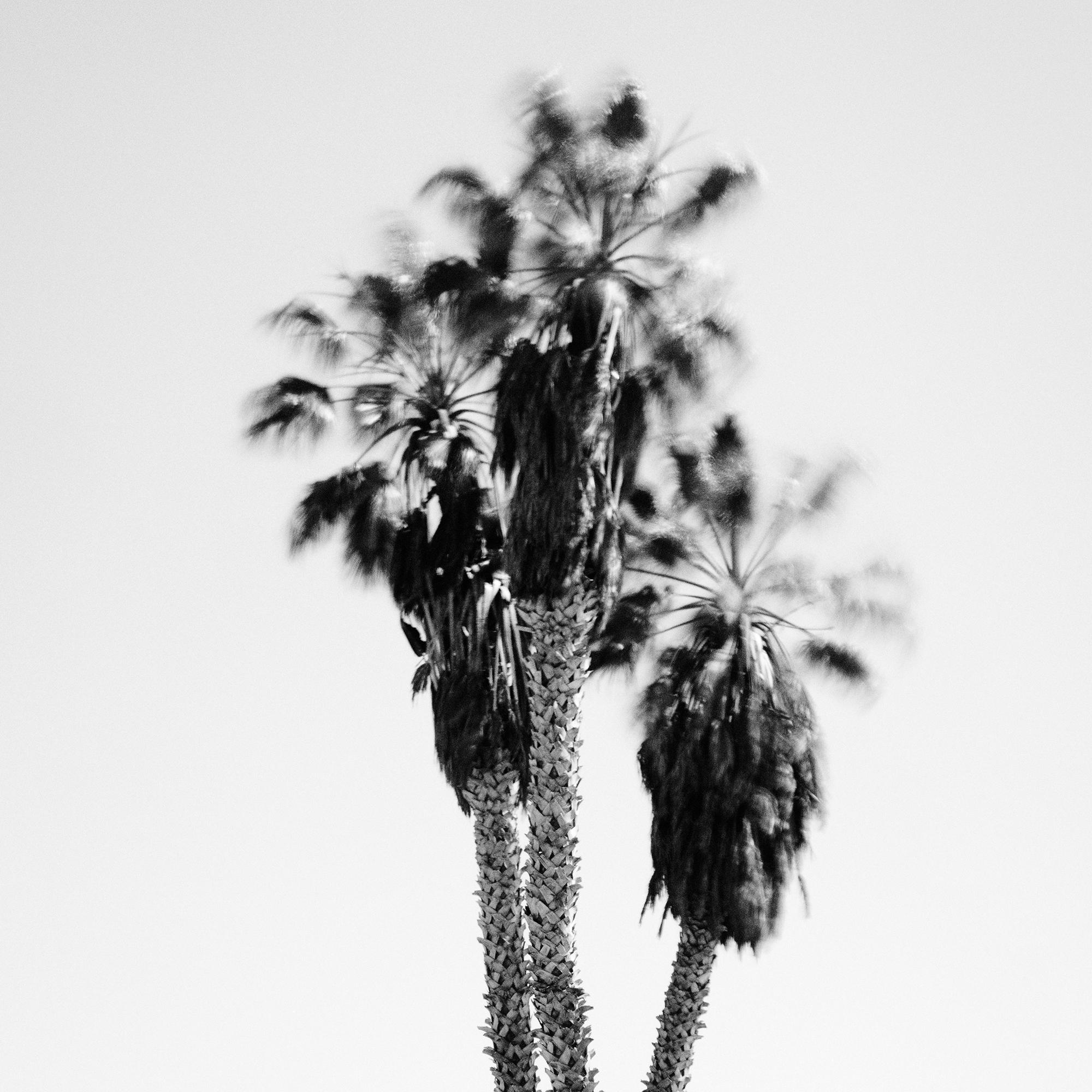 Sunday relaxing, beach, Santa Barbara, USA, black white fine art landscape photo For Sale 3
