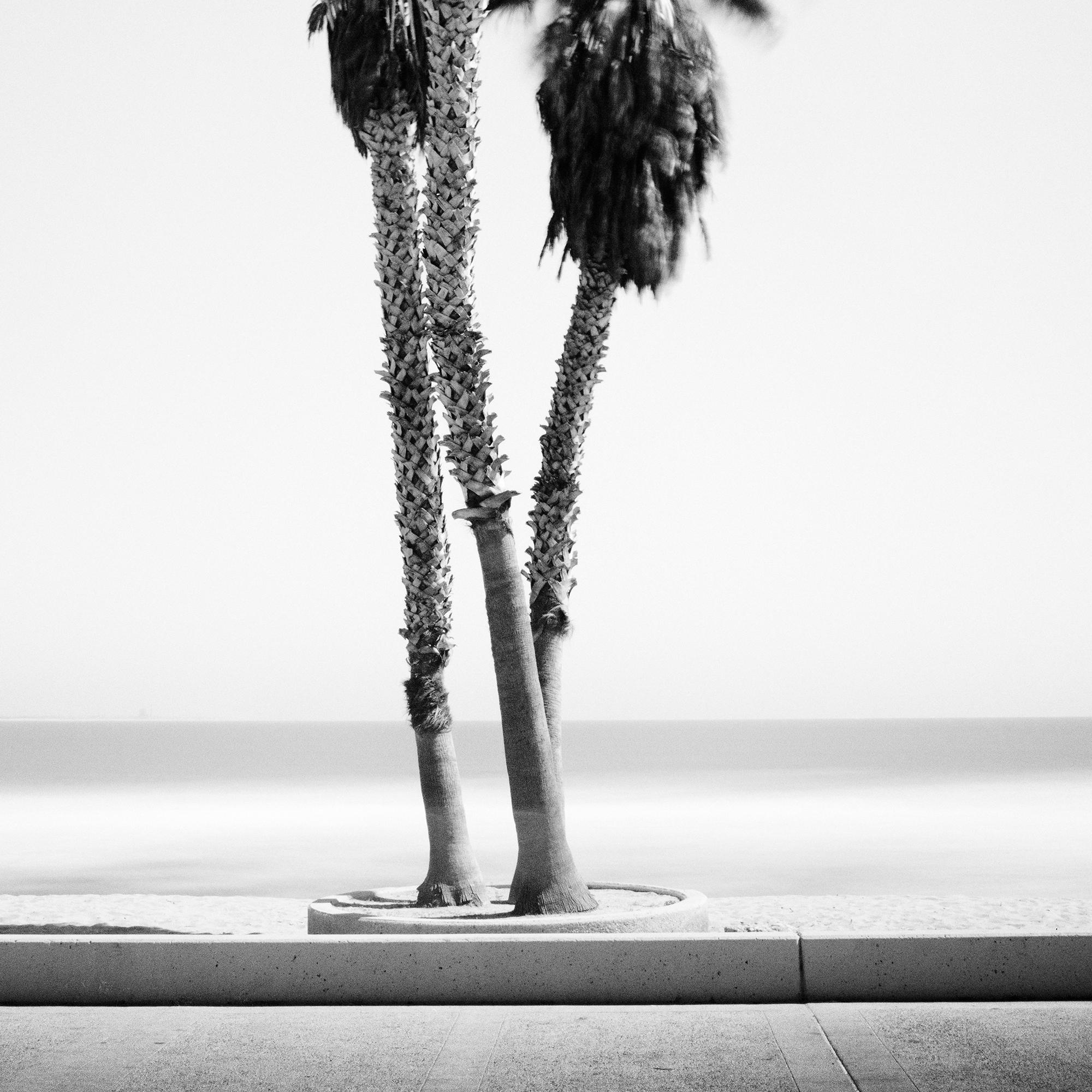 Sunday relaxing, beach, Santa Barbara, USA, black white fine art landscape photo For Sale 4