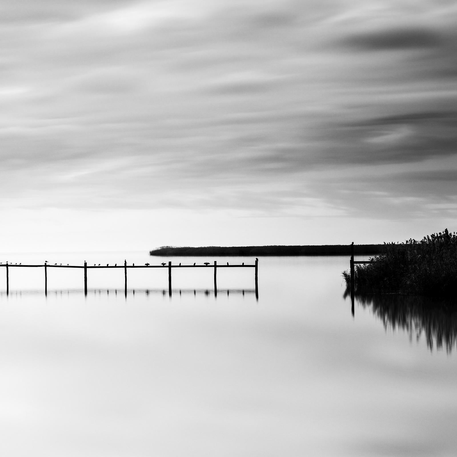 Swimming Area, panorama, black and white, long exposure, waterscape, photography For Sale 6