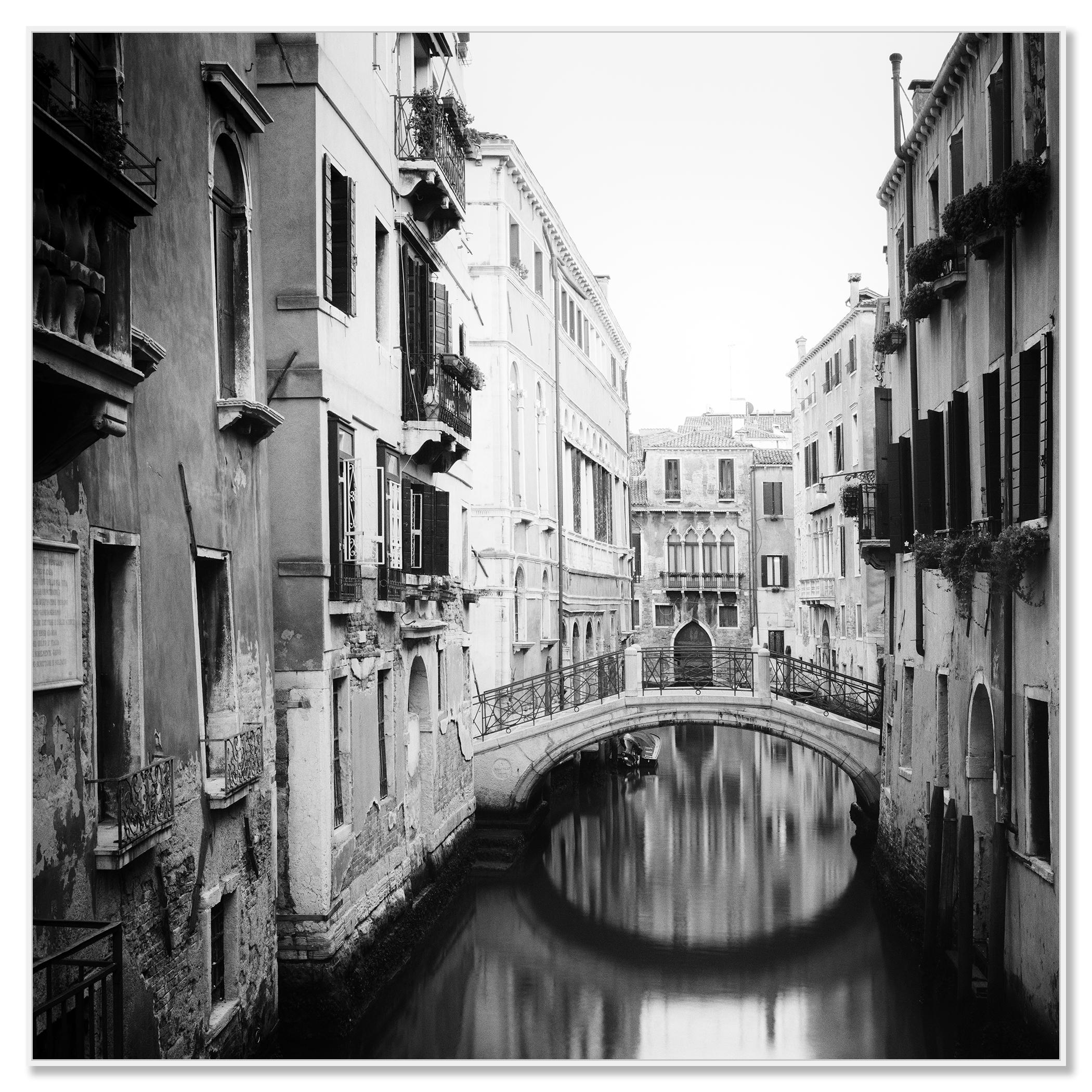 bridges in venice italy pictures