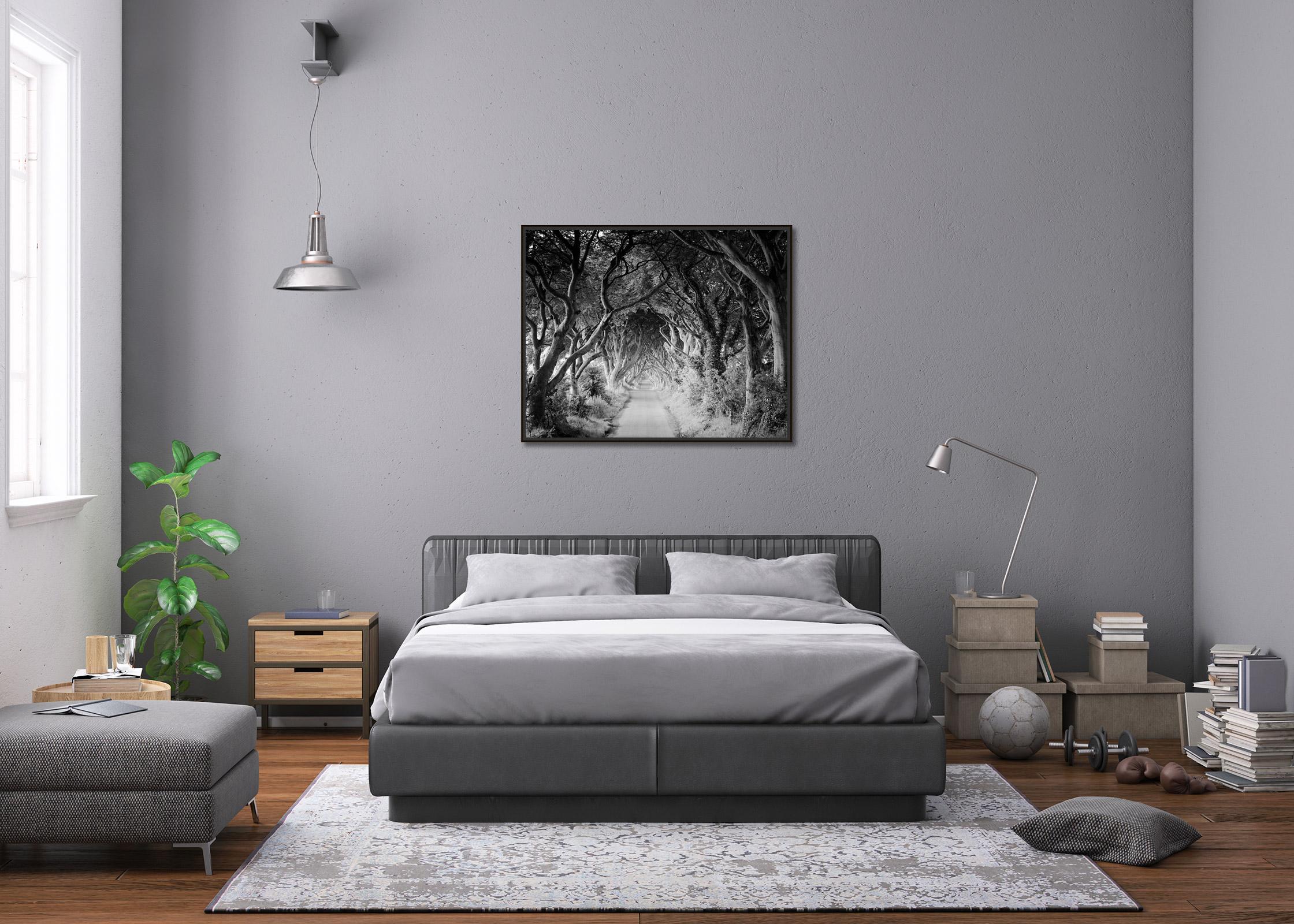 Los setos oscuros, haya, avenida de árboles, fotografía en blanco y negro, paisaje en venta 2