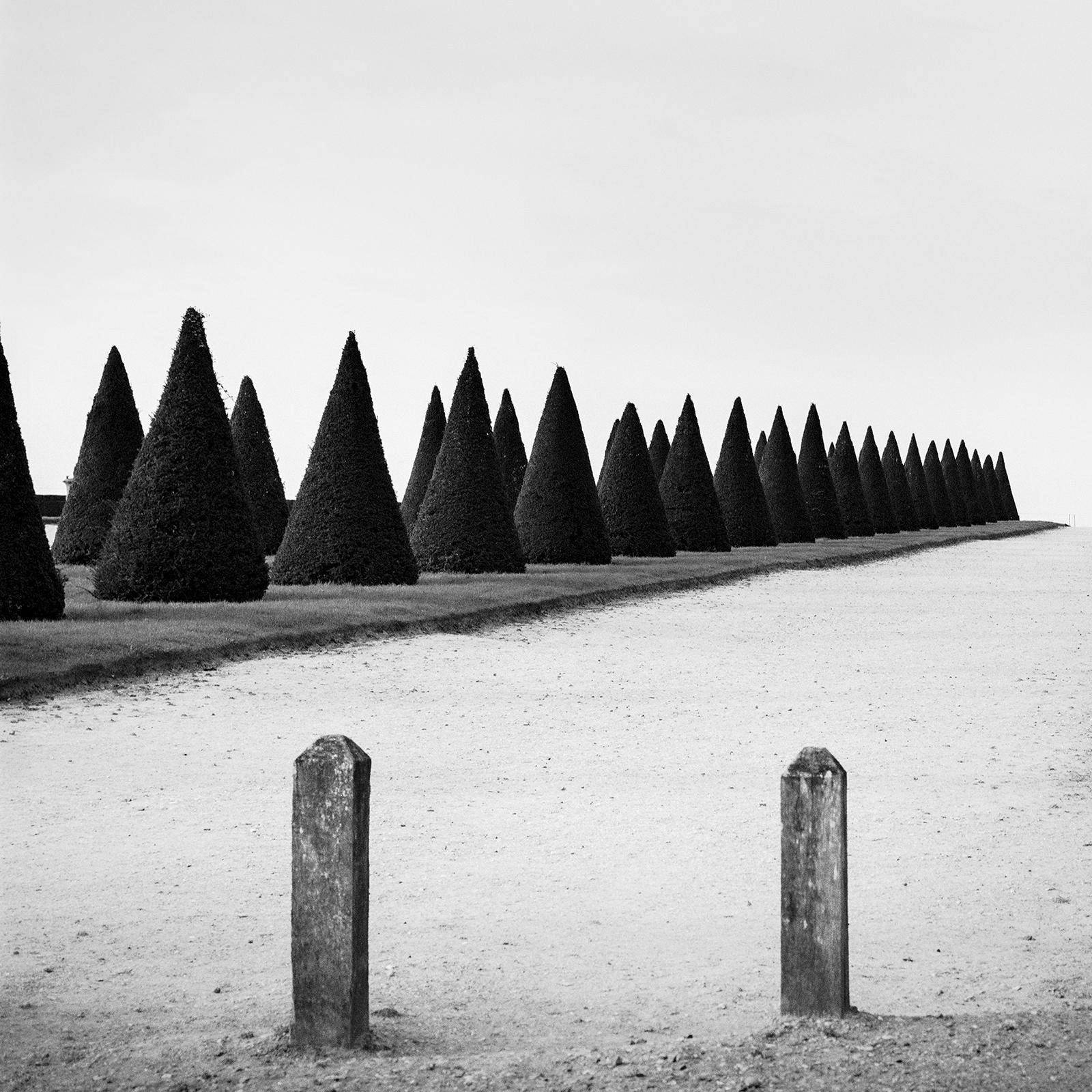 Der Garten von Versailles, Paris, Frankreich, Schwarz-Weiß-Landschaftsfotografie im Angebot 5