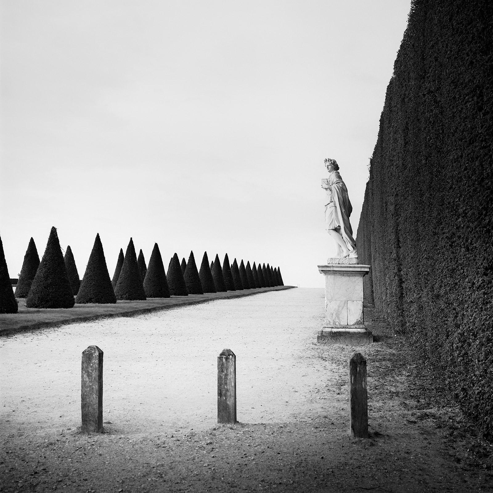 Gerald Berghammer Landscape Photograph – Der Garten von Versailles, Paris, Frankreich, Schwarz-Weiß-Landschaftsfotografie