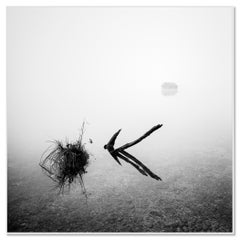 The Lake House, Almsee - Photographie de paysage aquatique à exposition longue et à tirage limité