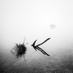 The Lake House, foggy morning, black and white fine art waterscape photography
