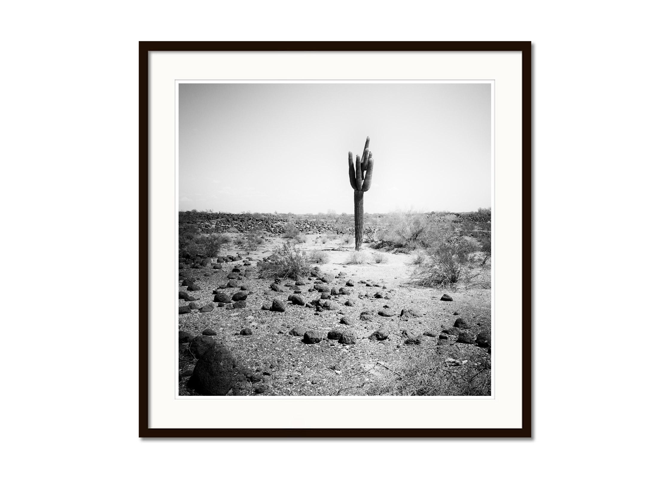 The last One Cactus Desert Arizona USA black & white landscape art photography - Gray Landscape Photograph by Gerald Berghammer