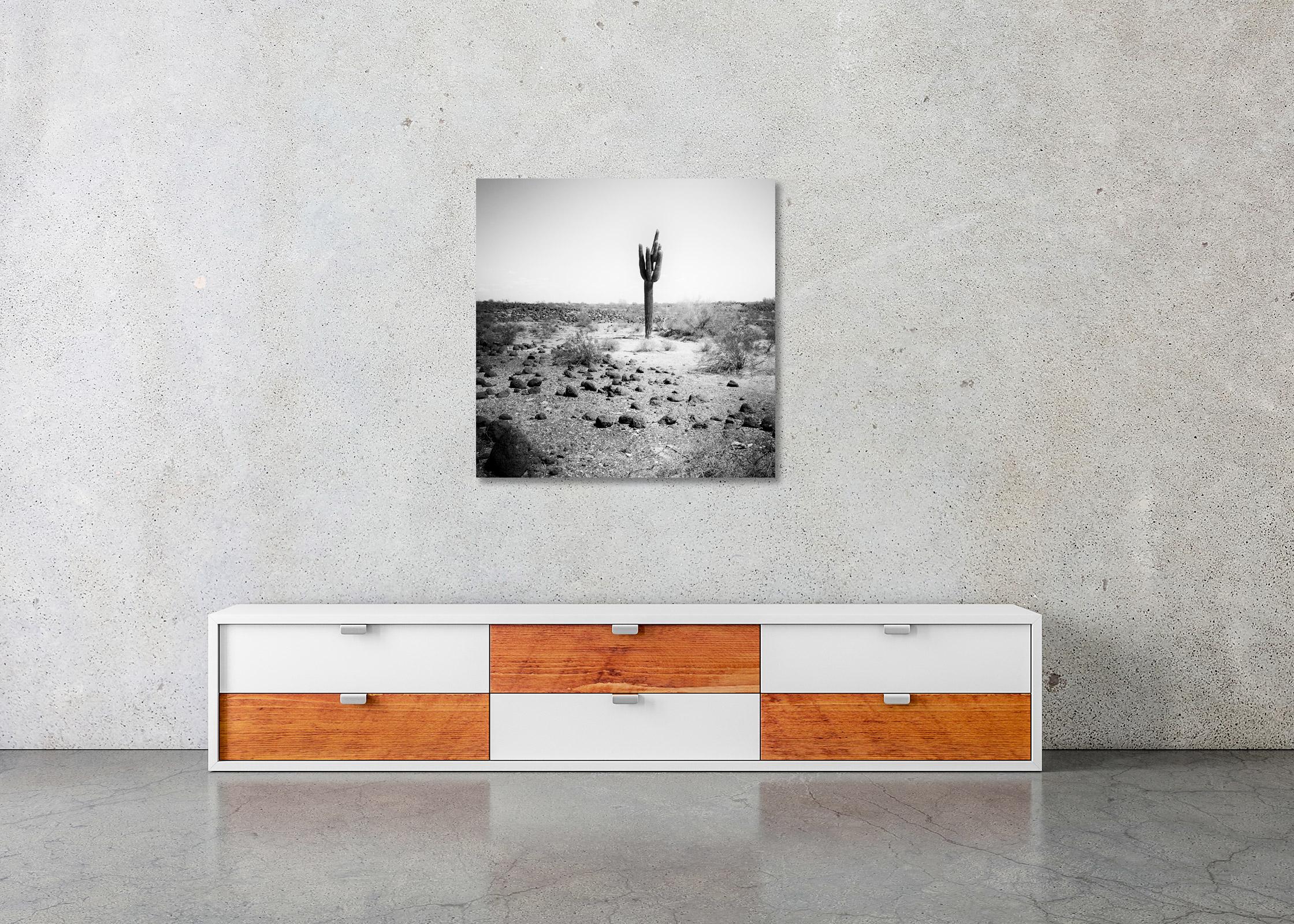 The last One Cactus Desert Arizona USA black & white landscape art photography For Sale 2