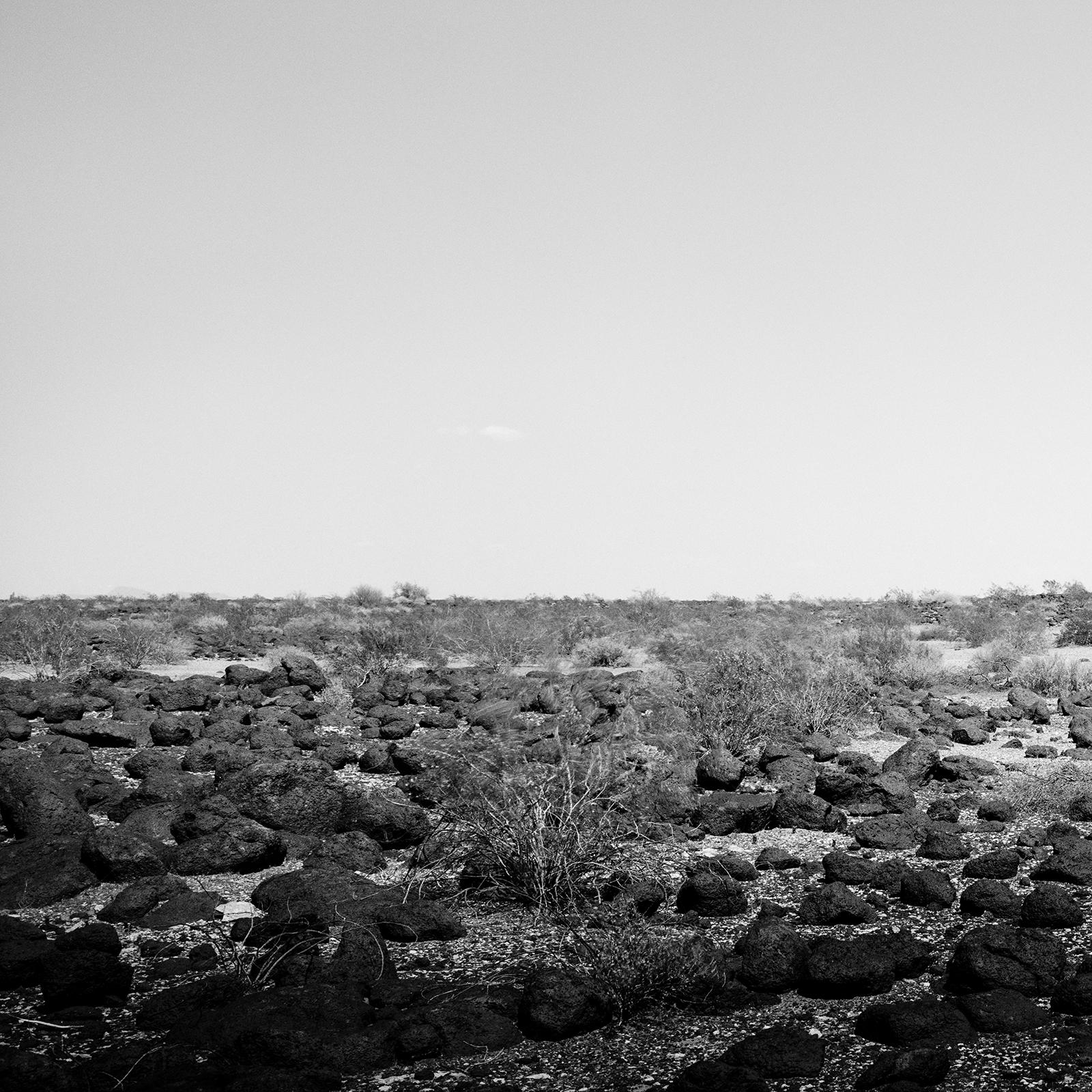 L'ultimo Panorama, Cactus, Arizona, USA, Edizione limitata, Foto di paesaggio in vendita 3