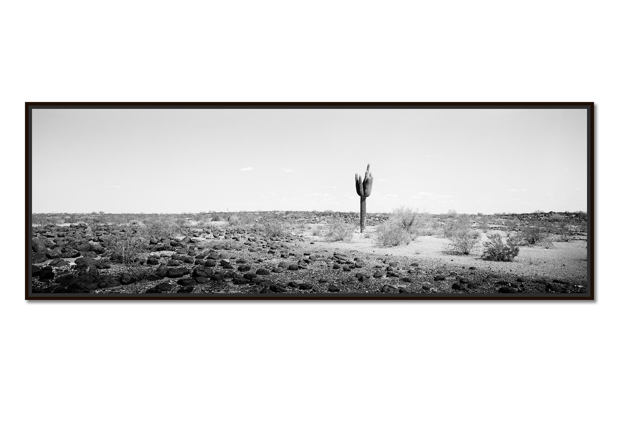 The last One Panorama, Cactus, AZ, USA, black and white photography, landscape - Photograph by Gerald Berghammer