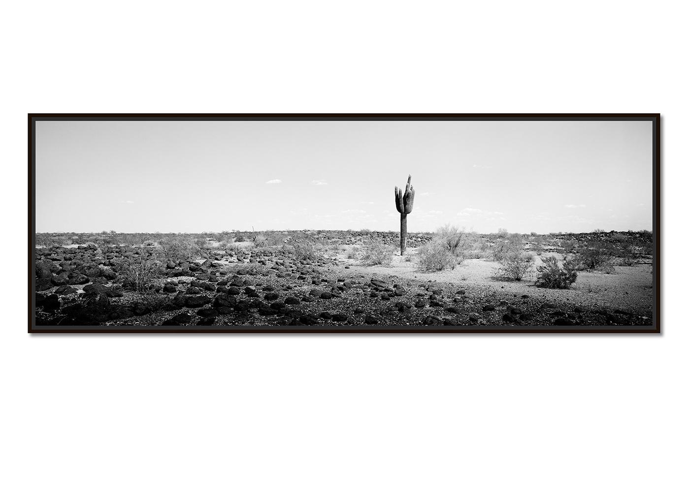 L'ultimo Panorama, Cactus, Arizona, USA, Edizione limitata, Foto di paesaggio - Photograph di Gerald Berghammer