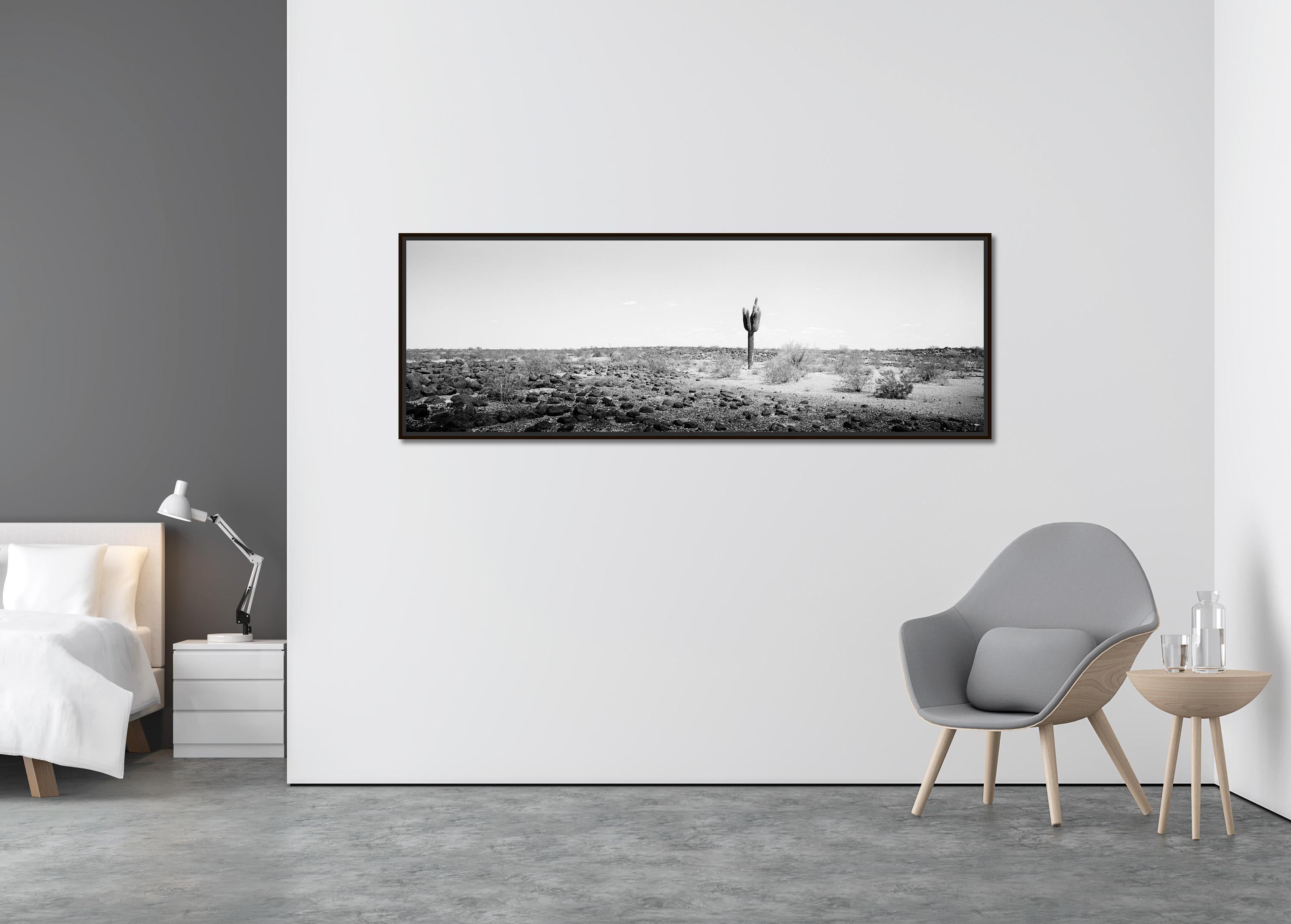 The last One Panorama, Cactus, AZ, USA, black and white photography, landscape - Contemporary Photograph by Gerald Berghammer