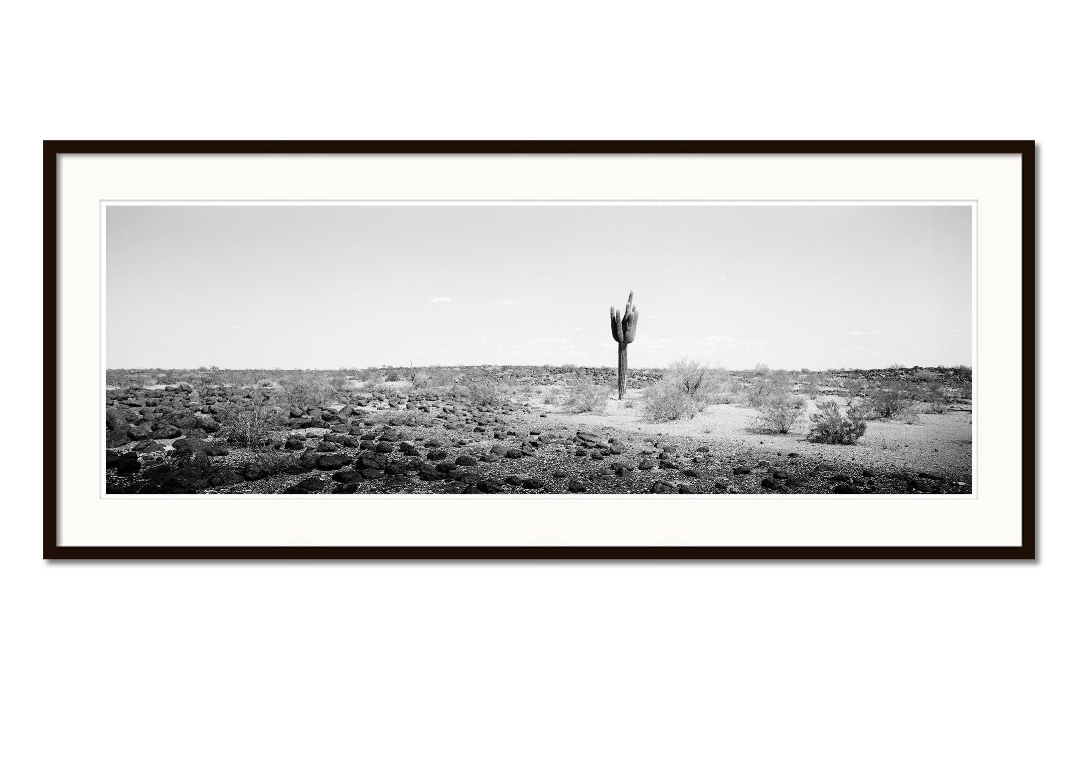 The last One Panorama, Cactus, AZ, USA, black and white photography, landscape - Gray Black and White Photograph by Gerald Berghammer