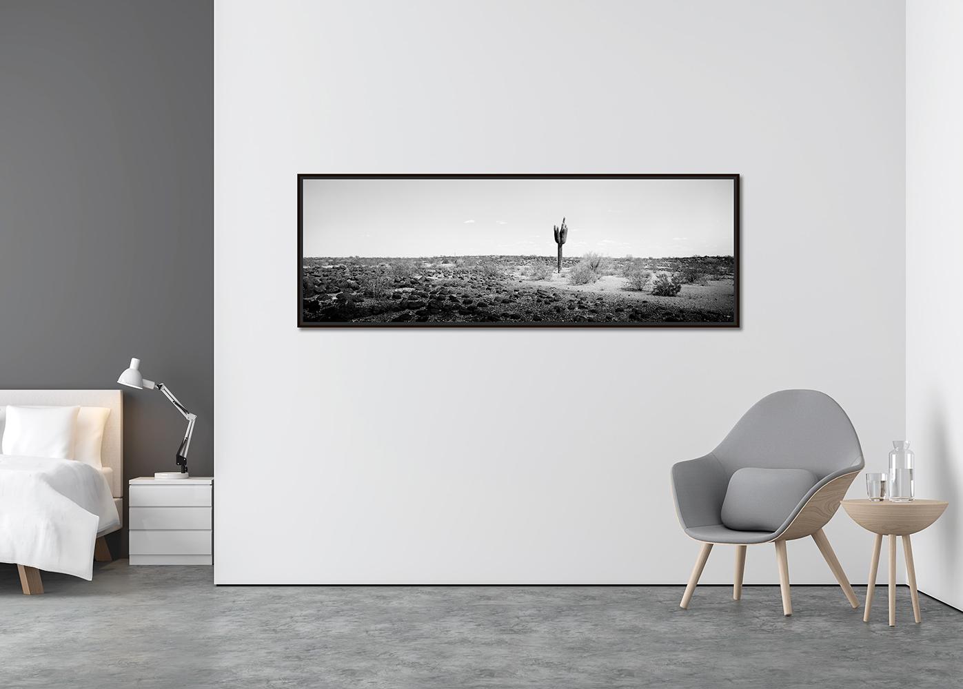 L'ultimo Panorama, Cactus, Arizona, USA, Edizione limitata, Foto di paesaggio - Photograph Astratto di Gerald Berghammer