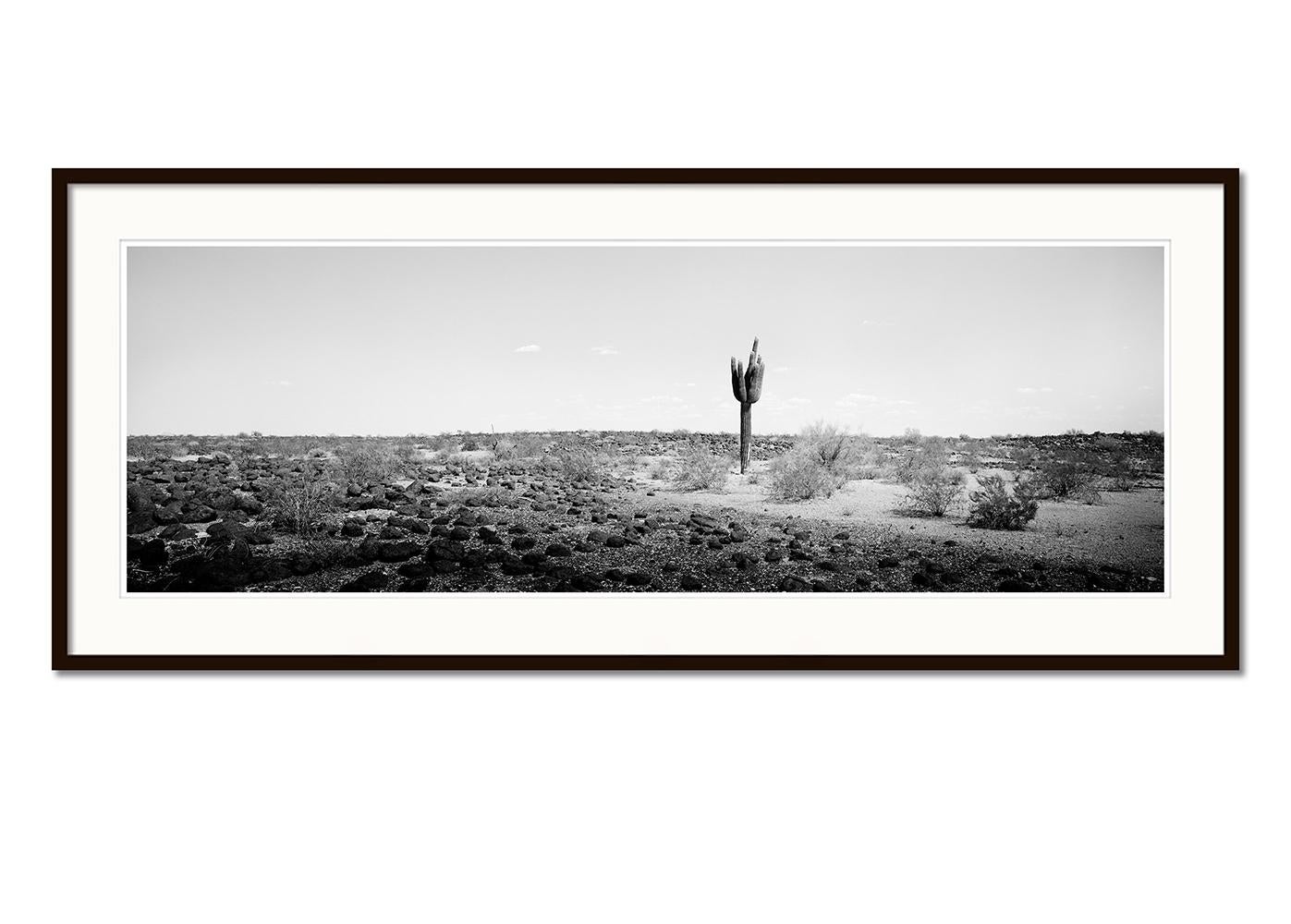 L'ultimo Panorama, Cactus, Arizona, USA, Edizione limitata, Foto di paesaggio - Black and White Photograph Grigio di Gerald Berghammer