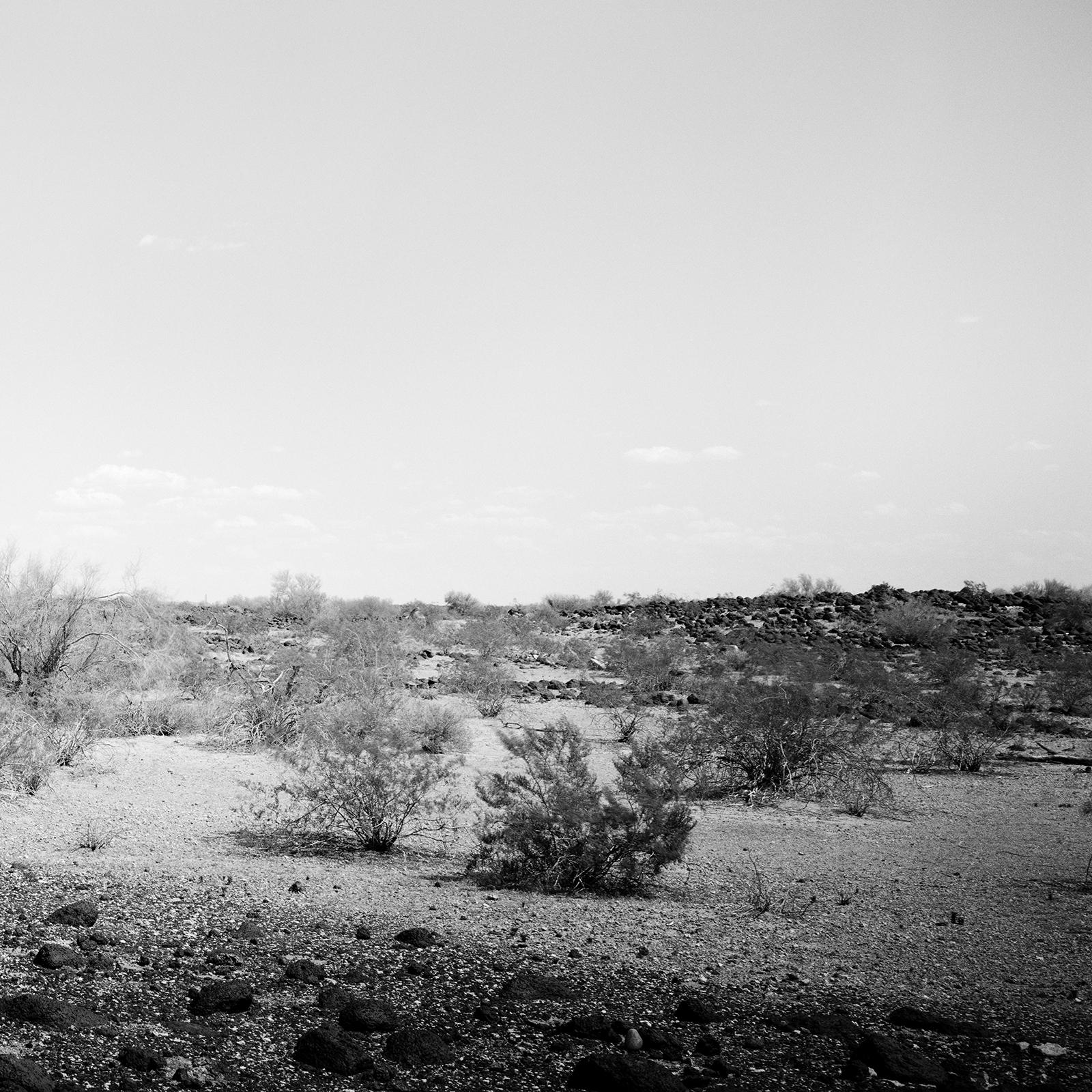 L'ultimo Panorama, Cactus, Arizona, USA, Edizione limitata, Foto di paesaggio in vendita 5