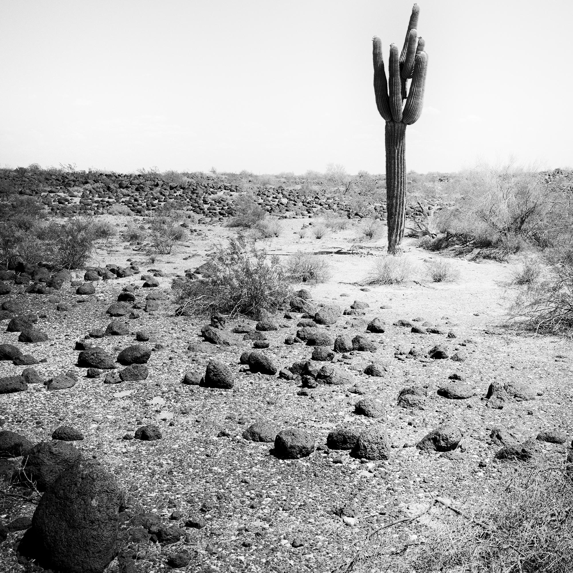 The last One, USA, photographie noir et blanc, édition limitée, paysage en vente 5