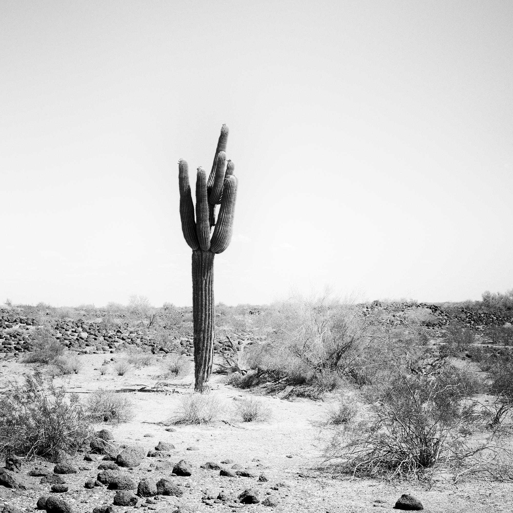 The last One, USA, photographie noir et blanc, édition limitée, paysage en vente 6