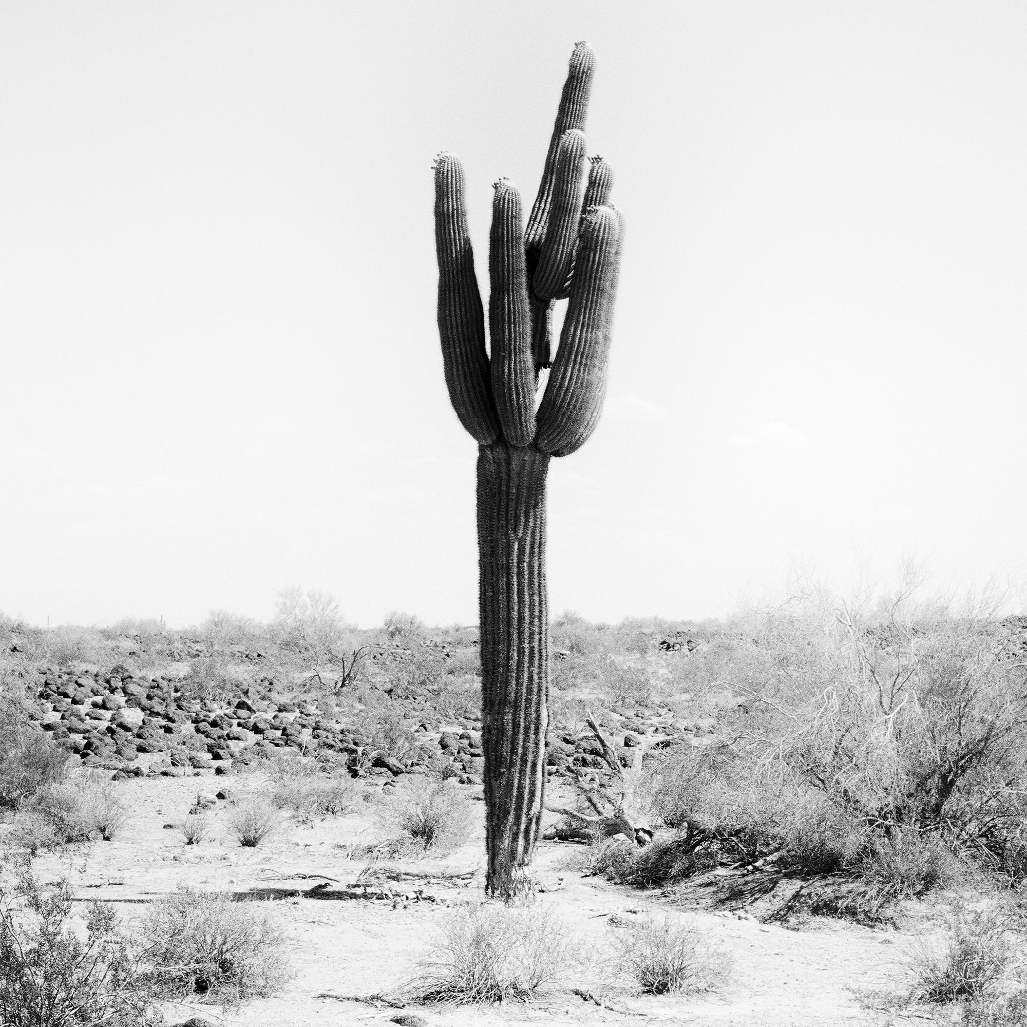 The last One, USA, photographie noir et blanc, édition limitée, paysage en vente 7
