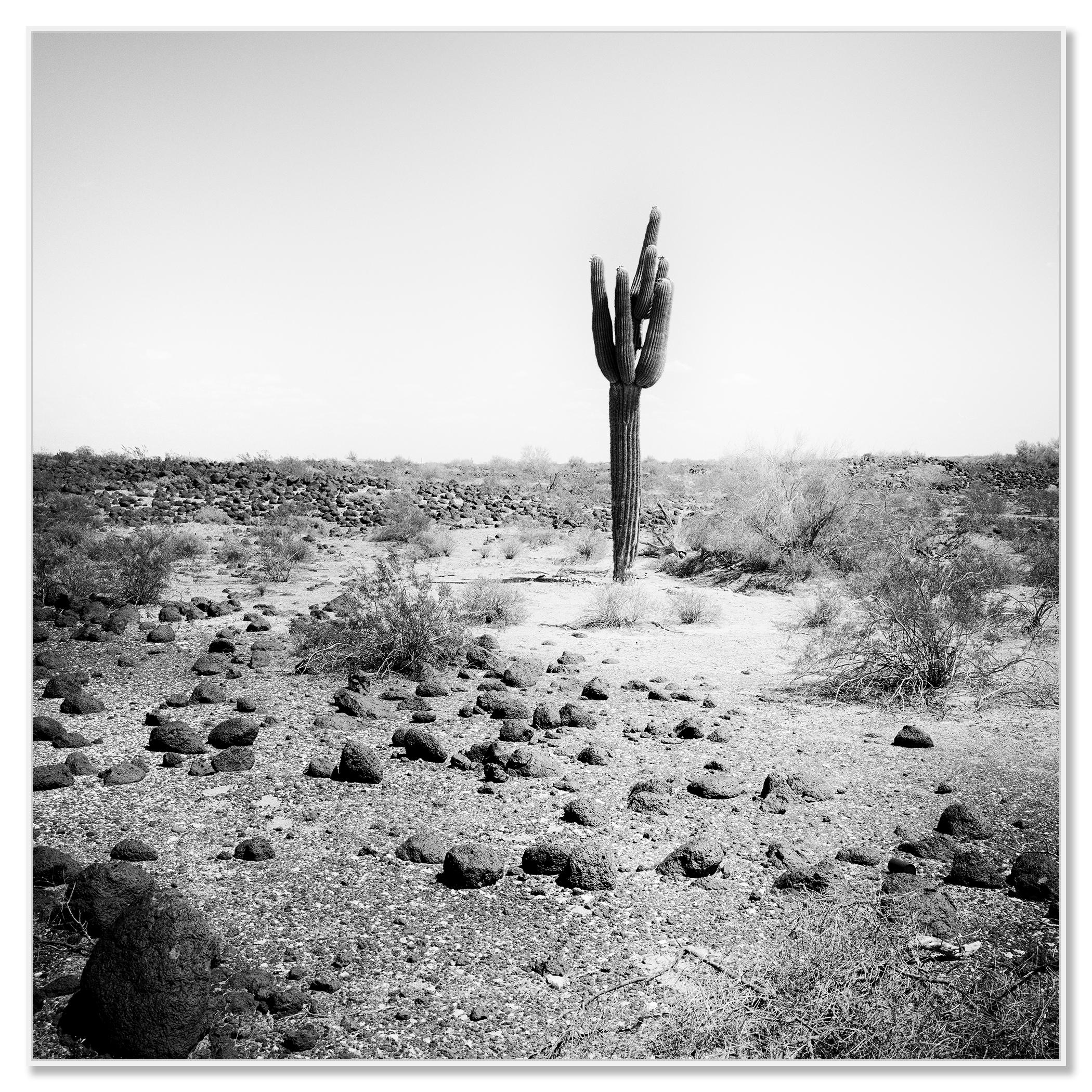 The last One, USA, photographie noir et blanc, édition limitée, paysage - Photograph de Gerald Berghammer