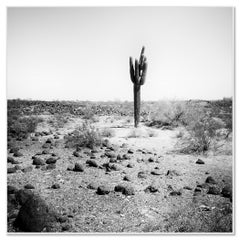The last One, USA, black and white photograph, limited edition, landscape