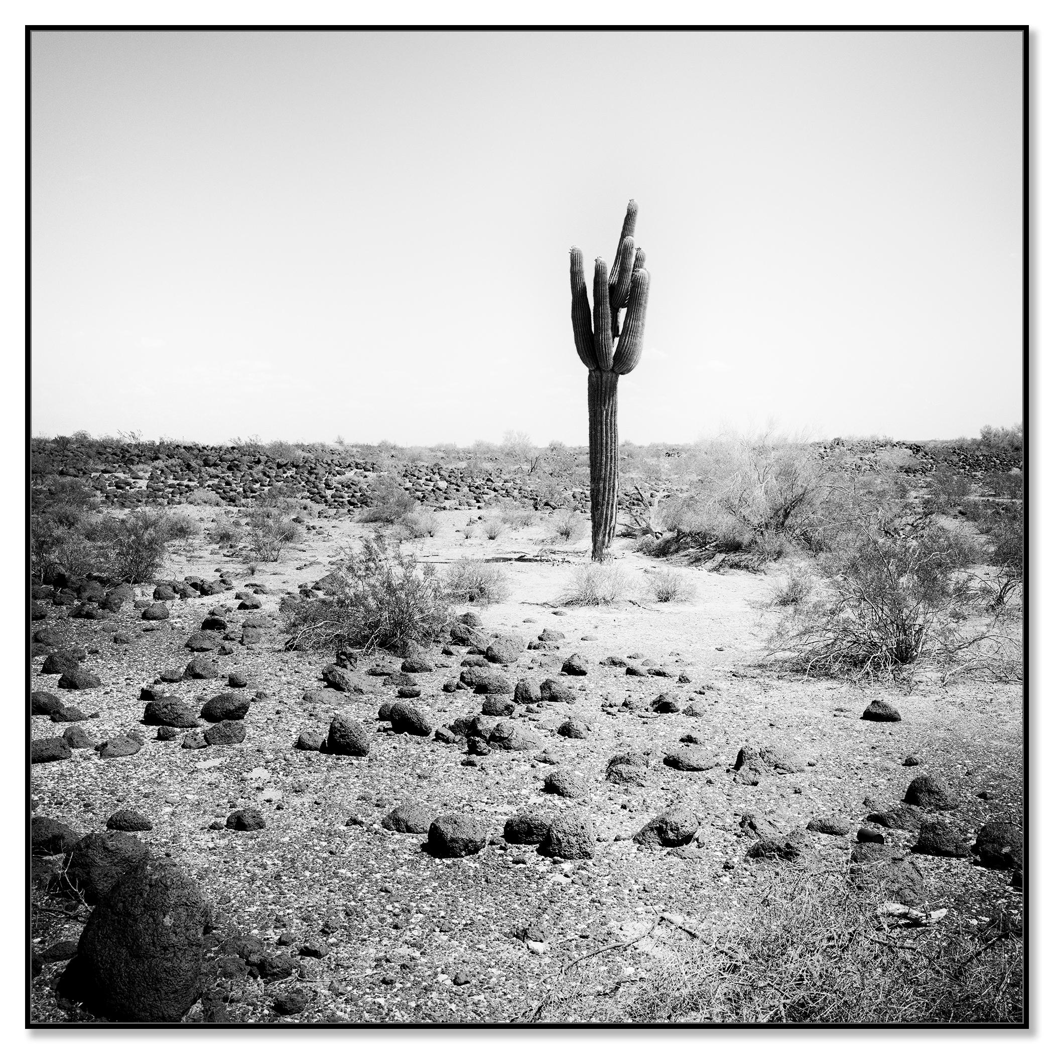 The last One, USA, photographie noir et blanc, édition limitée, paysage - Contemporain Photograph par Gerald Berghammer