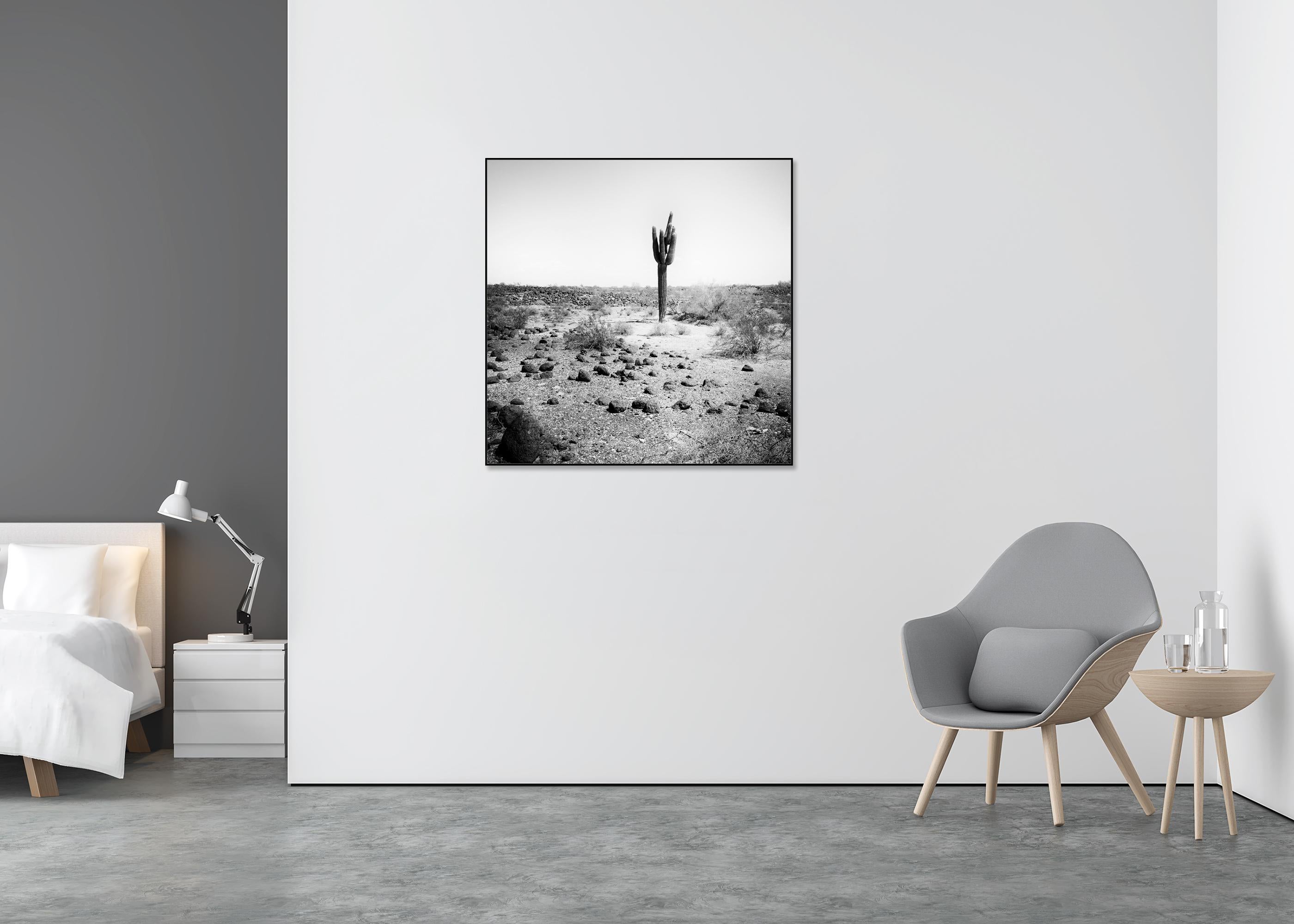 The last One, USA, photographie noir et blanc, édition limitée, paysage - Gris Landscape Photograph par Gerald Berghammer